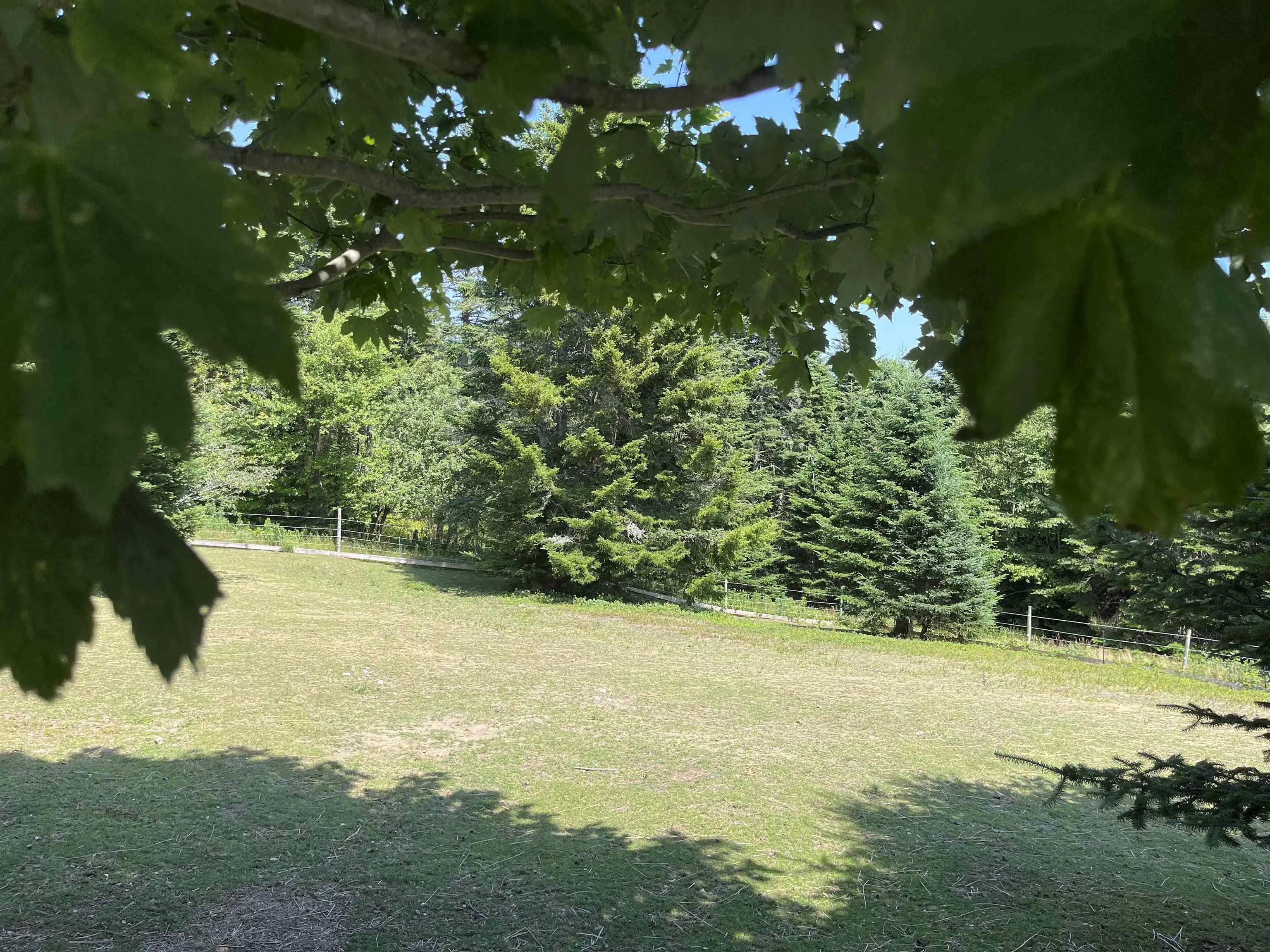 7787 Highway 209, Brookville, NS B0M 1S0, 2 Bedrooms Bedrooms, ,1 BathroomBathrooms,Residential,For Sale,Highway 209,202519280