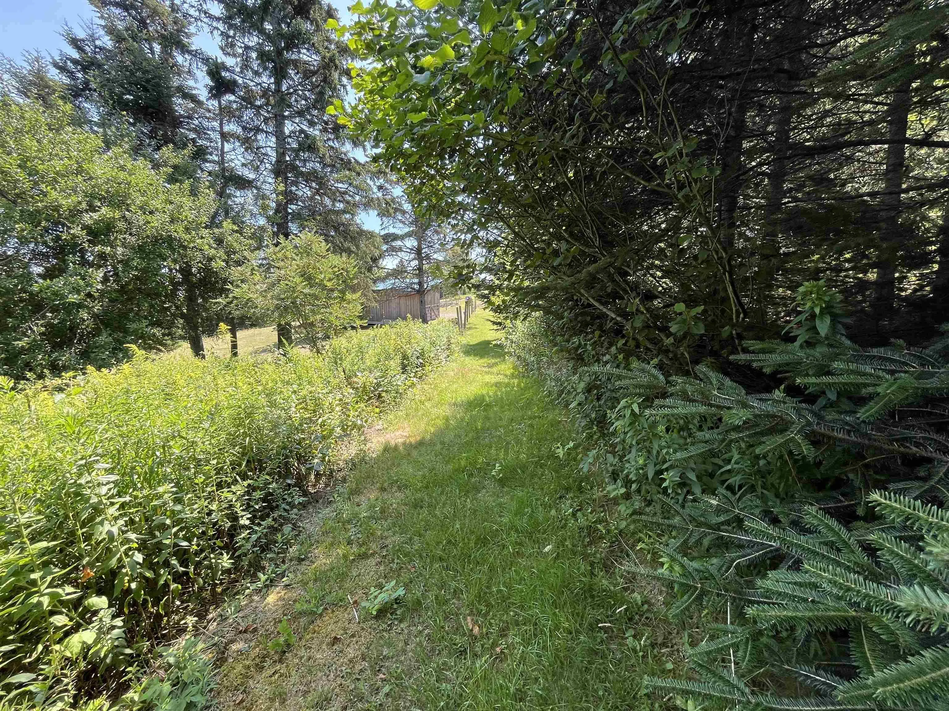 7787 Highway 209, Brookville, NS B0M 1S0, 2 Bedrooms Bedrooms, ,1 BathroomBathrooms,Residential,For Sale,Highway 209,202519280