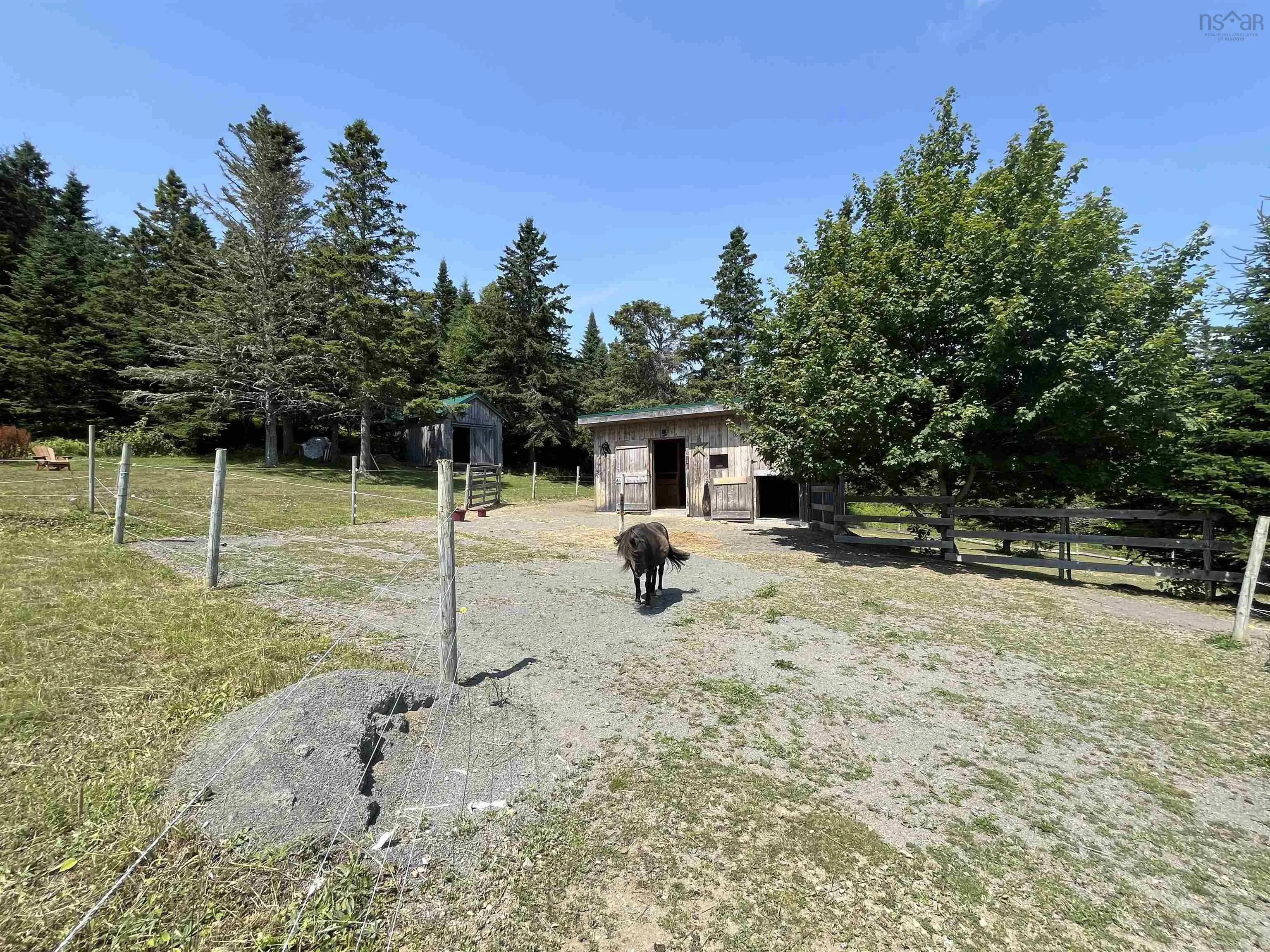 7787 Highway 209, Brookville, NS B0M 1S0, 2 Bedrooms Bedrooms, ,1 BathroomBathrooms,Residential,For Sale,Highway 209,202519280