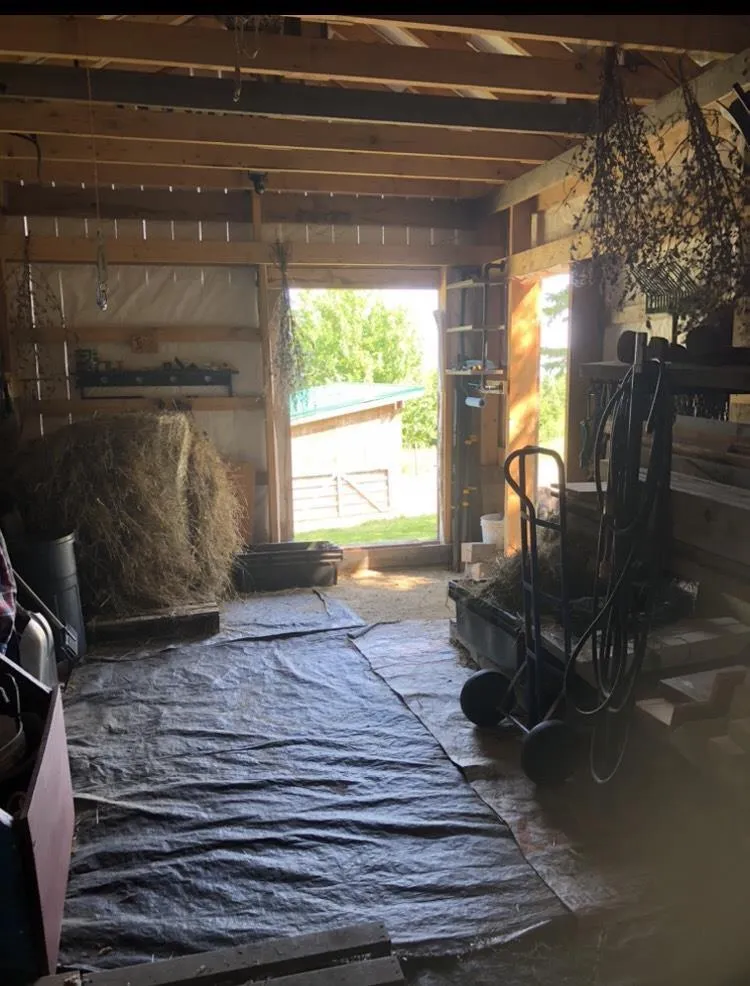 7787 Highway 209, Brookville, NS B0M 1S0, 2 Bedrooms Bedrooms, ,1 BathroomBathrooms,Residential,For Sale,Highway 209,202519280