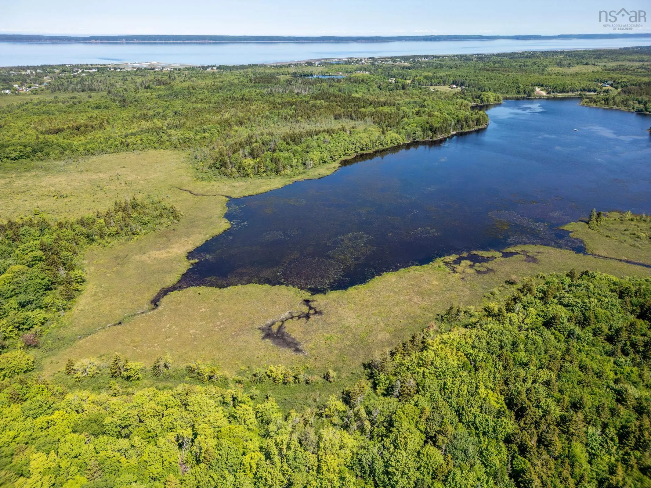 Boudreau Branch Road, Church Point, NS B0W 1M0, ,Land,For Sale,Boudreau Branch,202518081