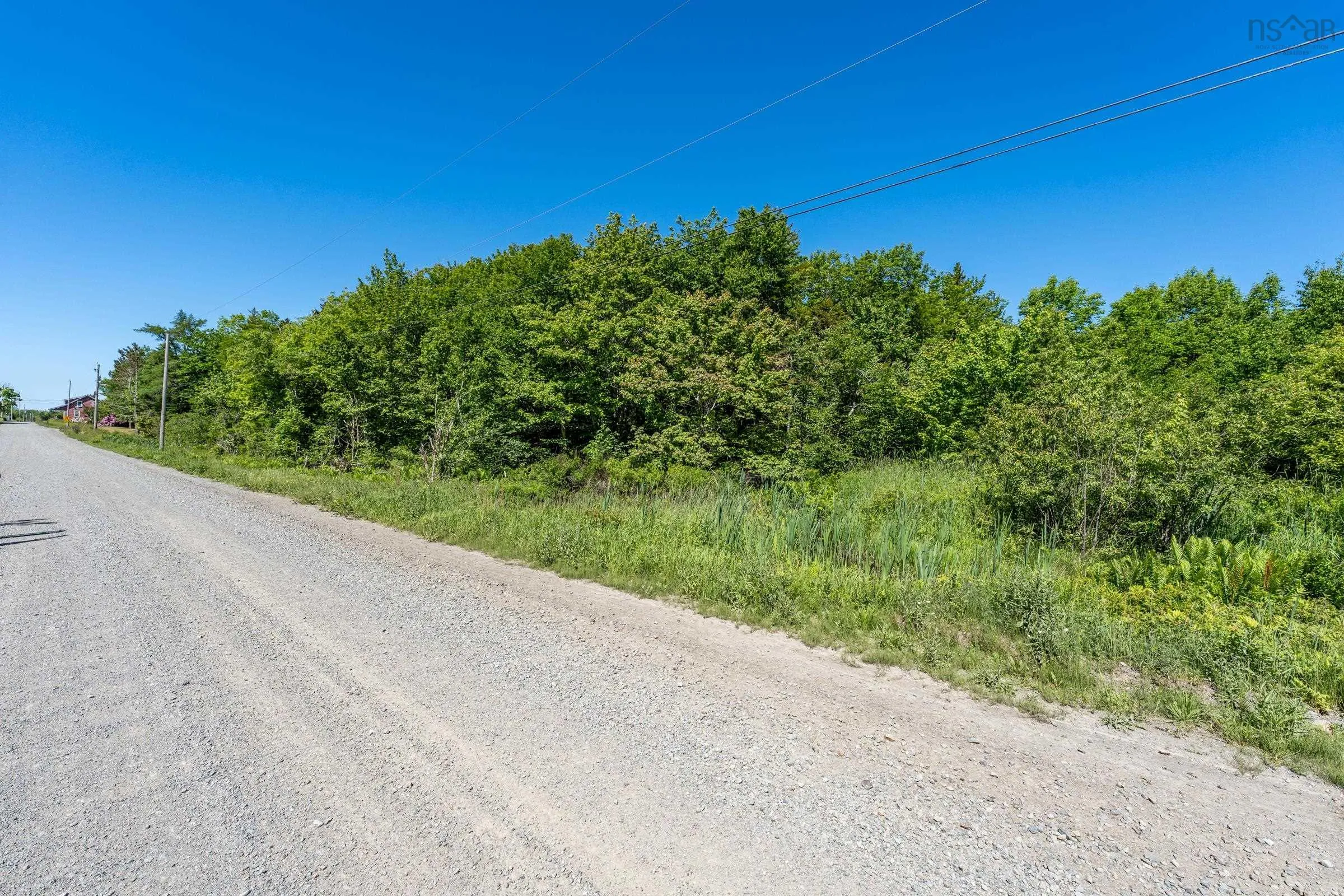 Boudreau Branch Road, Church Point, NS B0W 1M0, ,Land,For Sale,Boudreau Branch,202518081