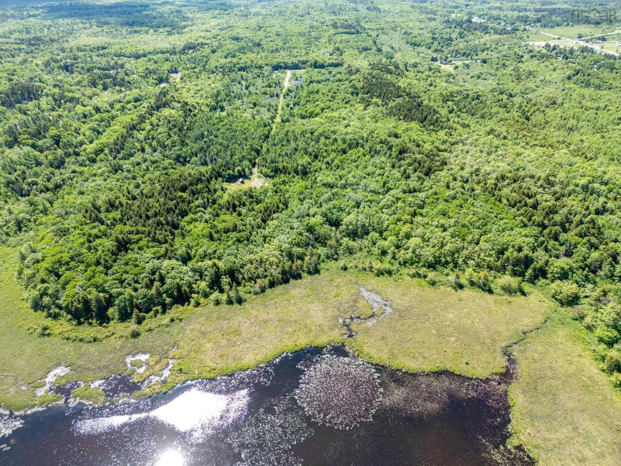 Boudreau Branch Road, Church Point, NS B0W 1M0, ,Land,For Sale,Boudreau Branch,202518081