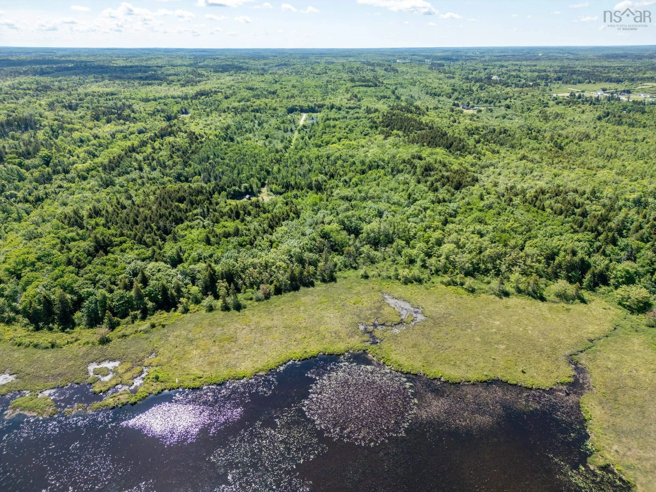 Boudreau Branch Road, Church Point, NS B0W 1M0, ,Land,For Sale,Boudreau Branch,202518081