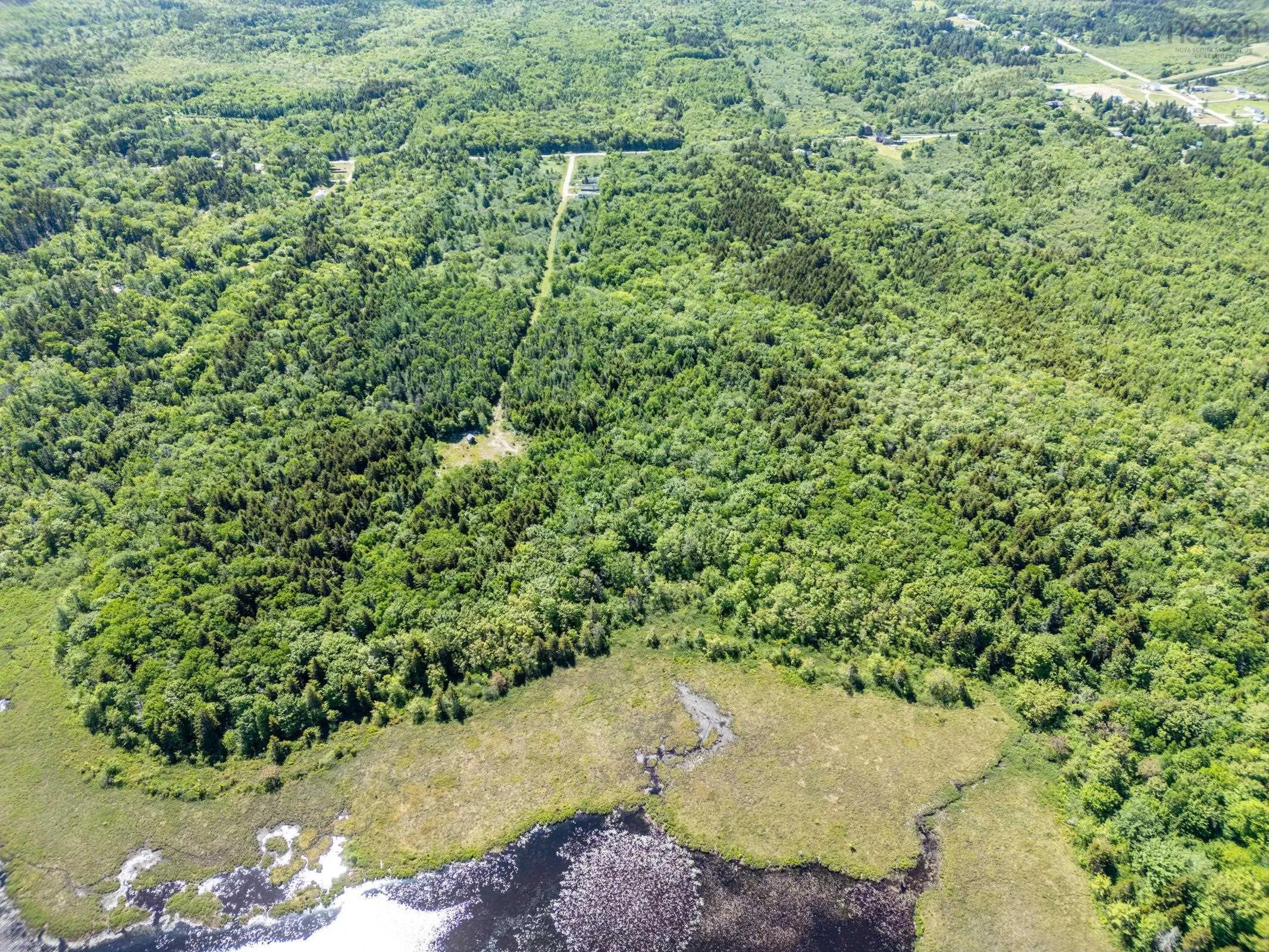 Boudreau Branch Road, Church Point, NS B0W 1M0, ,Land,For Sale,Boudreau Branch,202518081