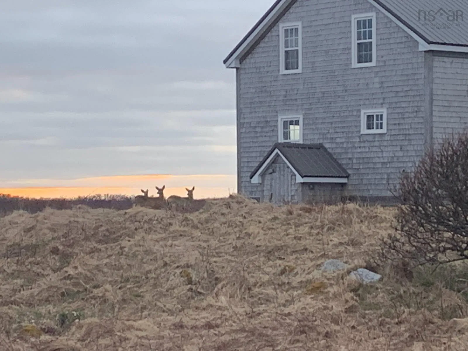 514 Baccaro Road, West Baccaro, NS B0W 1E0, 4 Bedrooms Bedrooms, ,1 BathroomBathrooms,Residential,For Sale,Baccaro,202511384