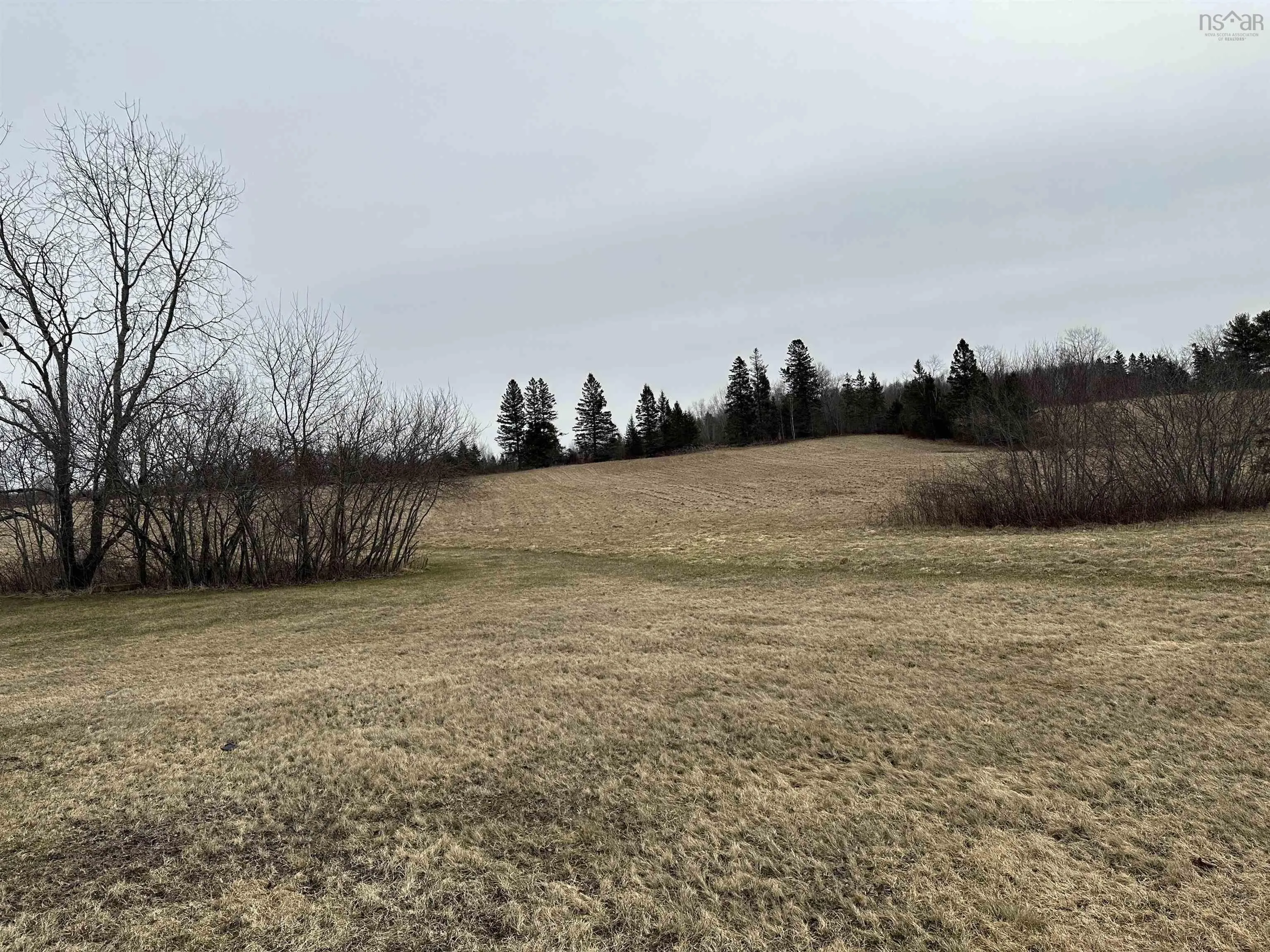 1577 Wentworth Road, Sweets Corner Ns B0n 2t0, ,Land,For Sale,Wentworth Road,202405918