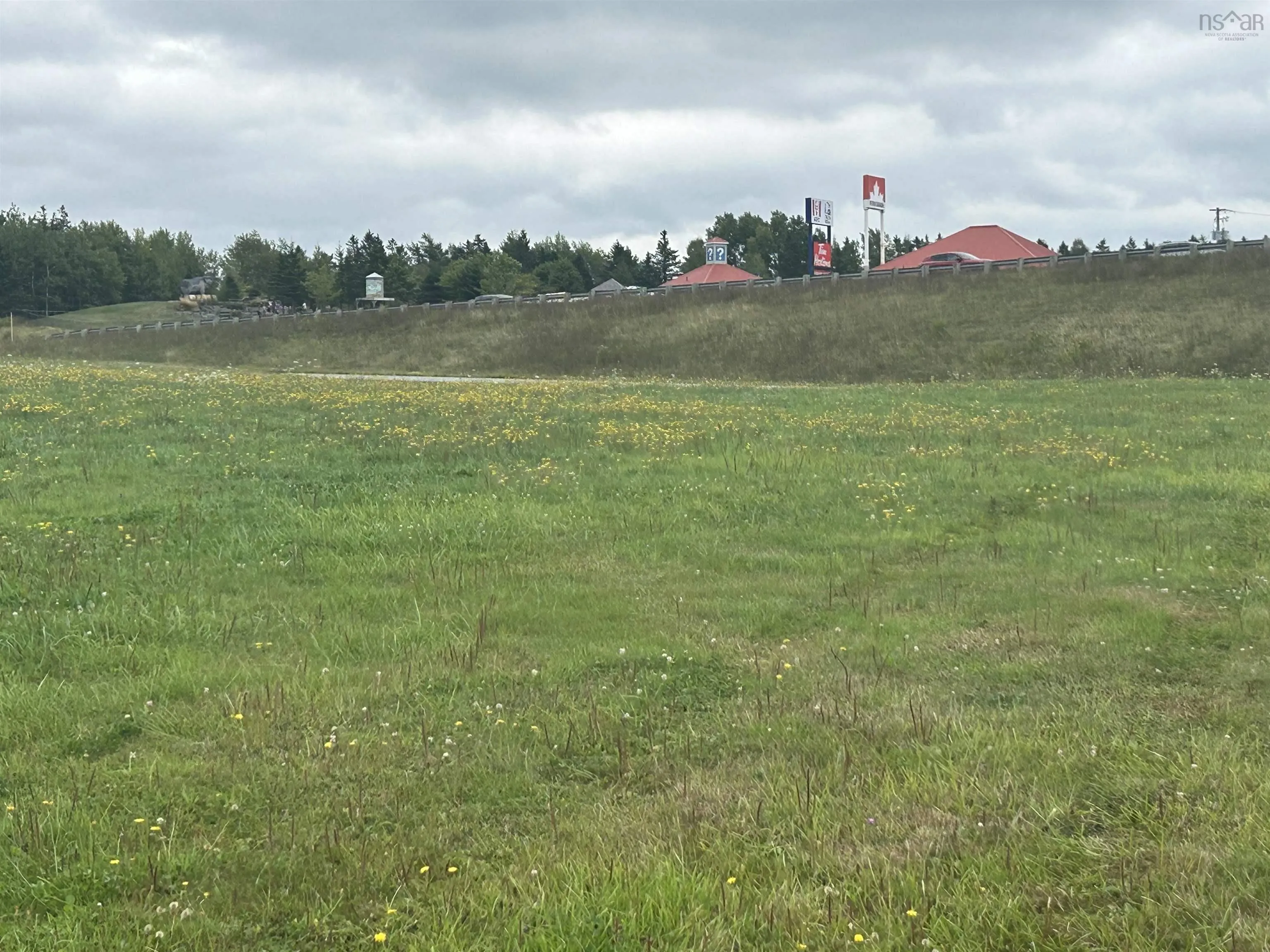 Main Street, Stewiacke, NS B0N 1J0, ,Land,For Sale,Main,202522710