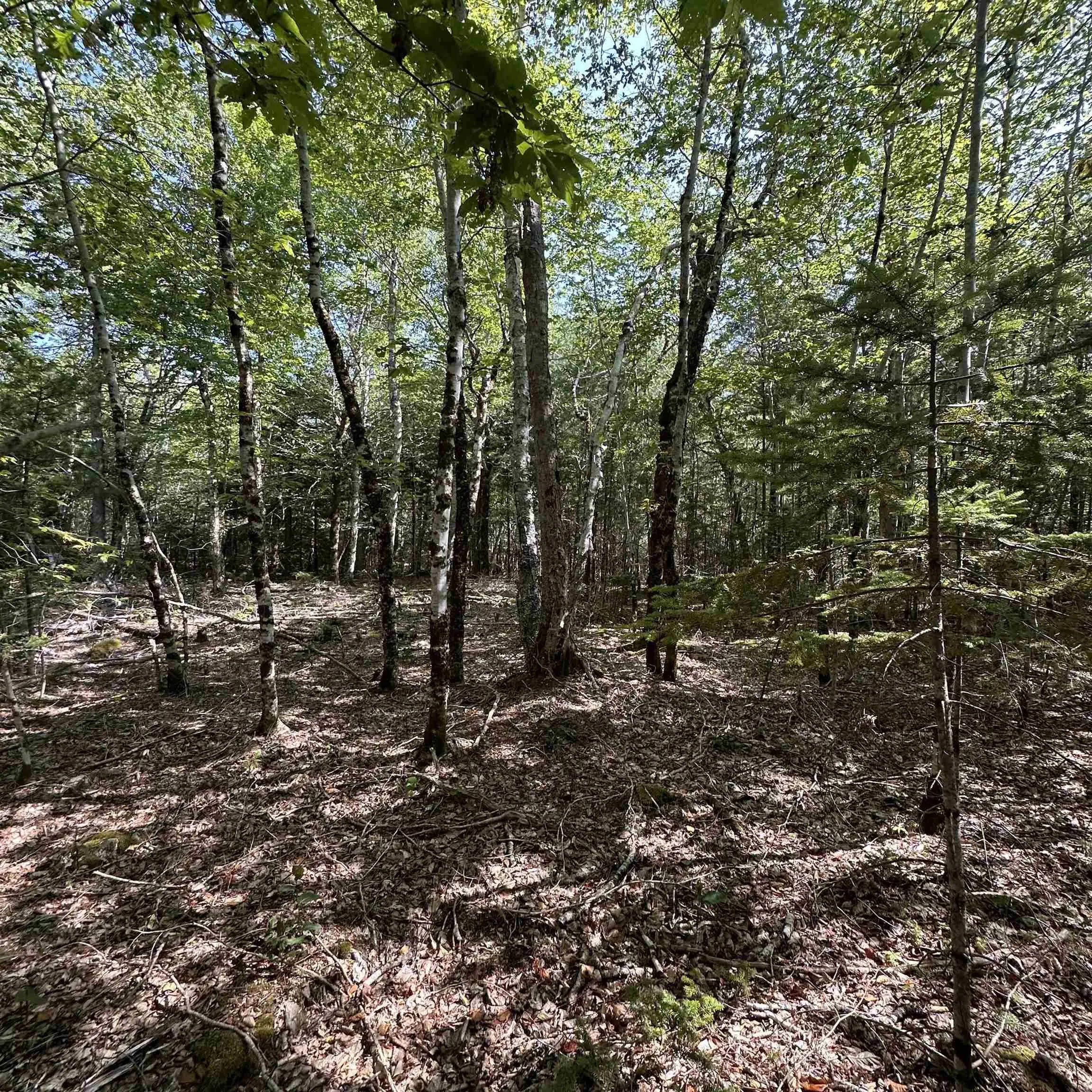 Island View Terrace Lot 51, Labelle, NS B0T 1E0, ,Land,For Sale,Island View,202517992