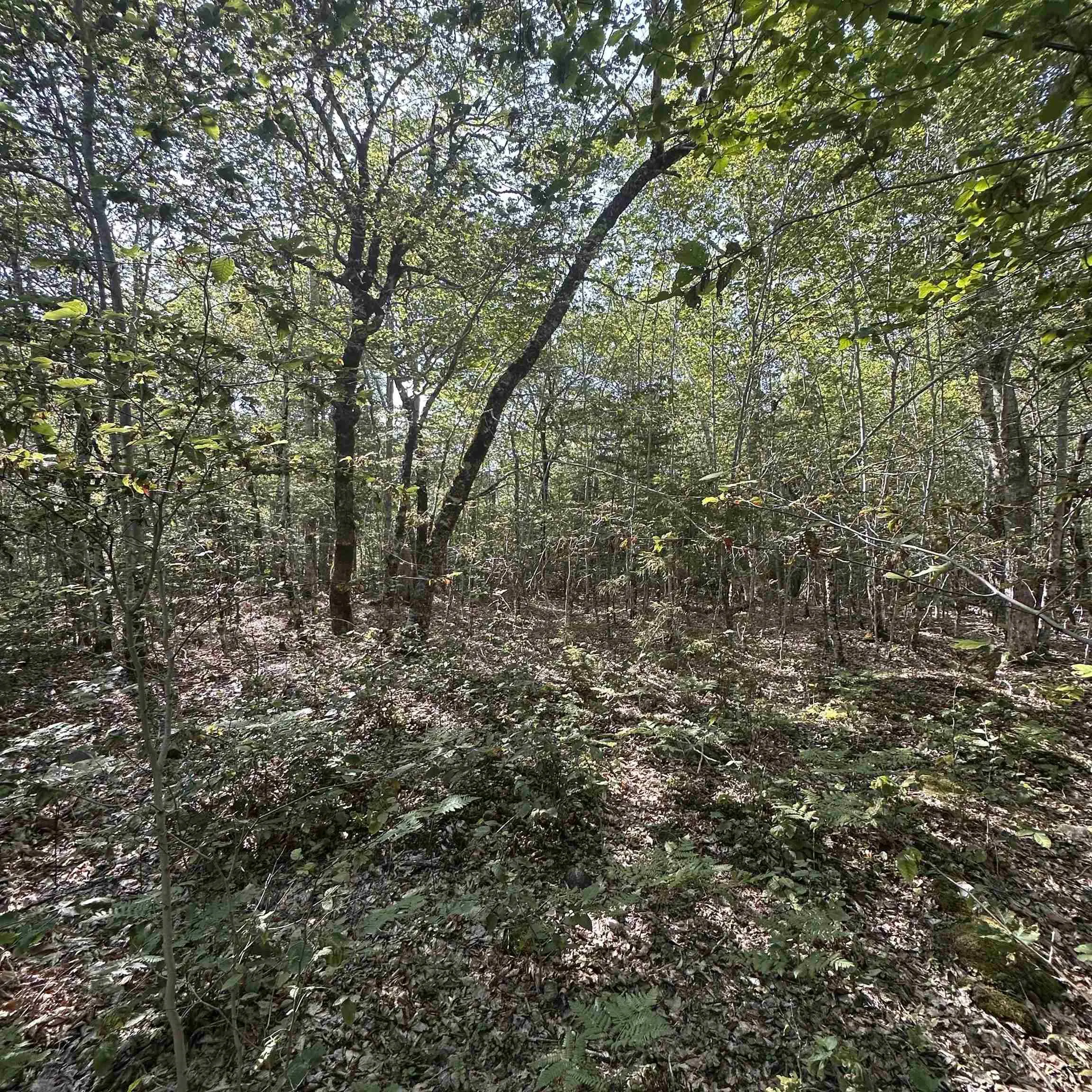 Island View Terrace Lot 51, Labelle, NS B0T 1E0, ,Land,For Sale,Island View,202517992