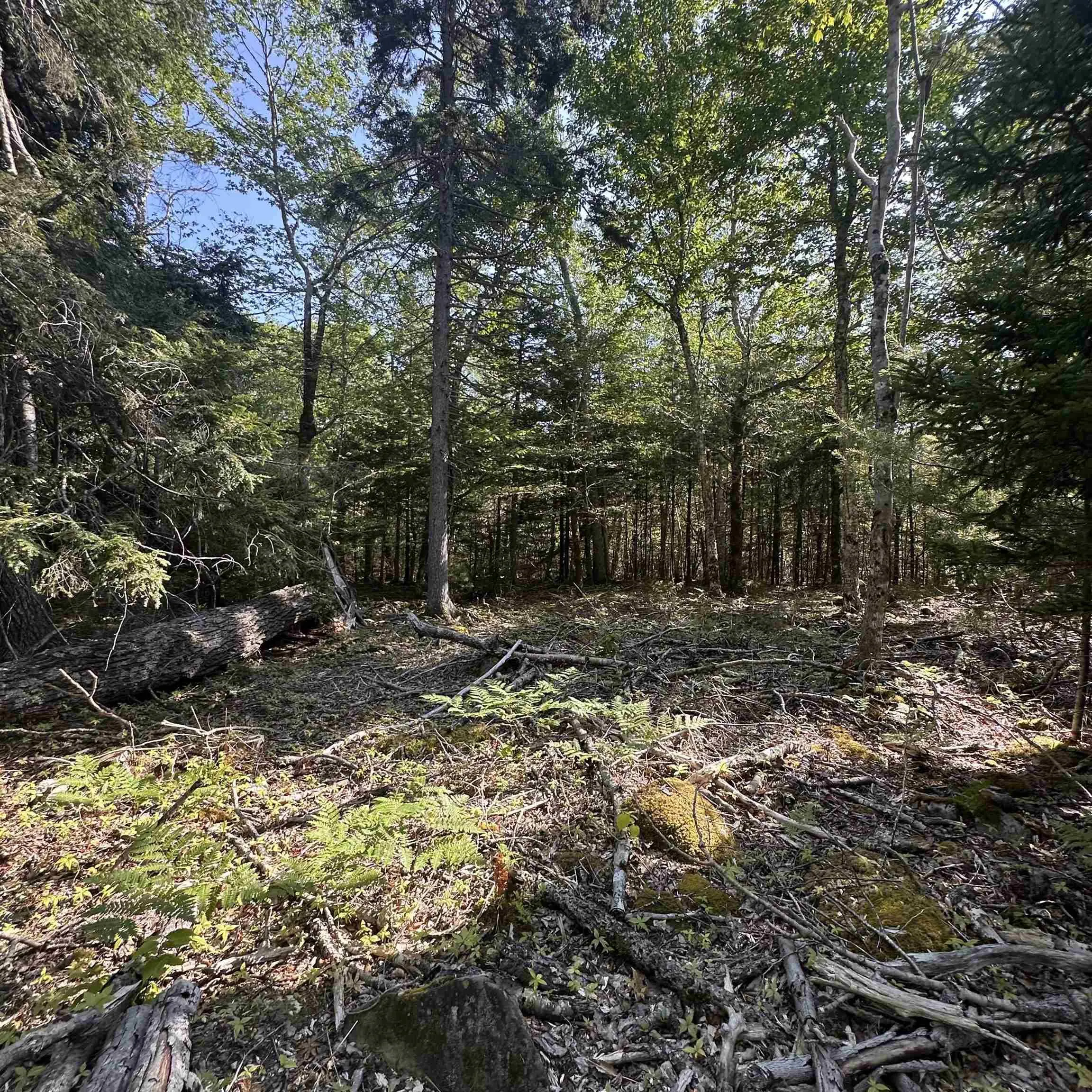 Island View Terrace Lot 51, Labelle, NS B0T 1E0, ,Land,For Sale,Island View,202517992