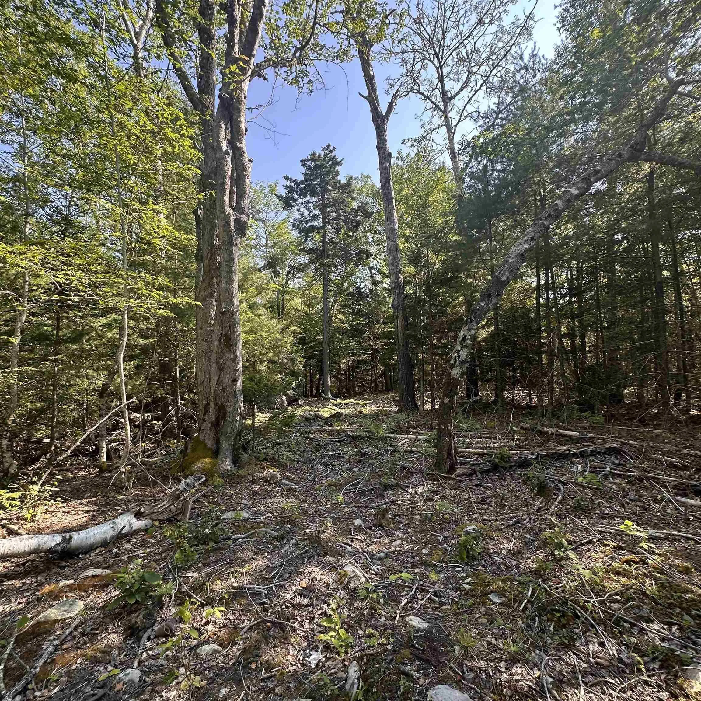 Island View Terrace Lot 51, Labelle, NS B0T 1E0, ,Land,For Sale,Island View,202517992