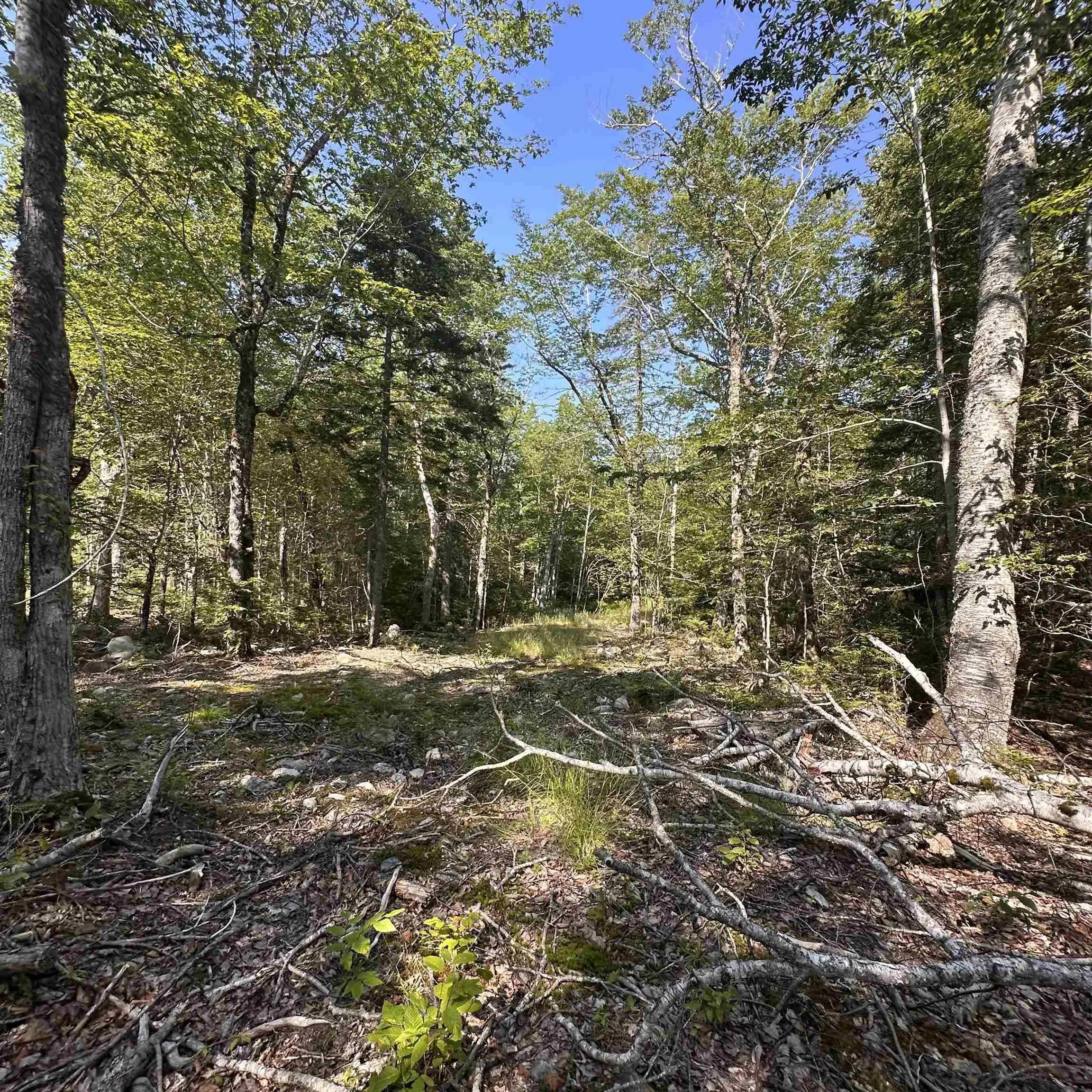 Island View Terrace Lot 51, Labelle, NS B0T 1E0, ,Land,For Sale,Island View,202517992