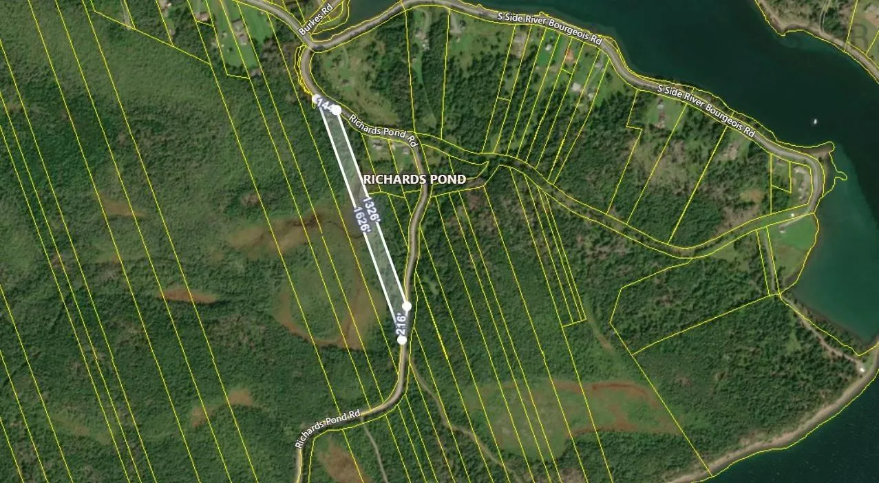 Richards Pond Road, River Bourgeois, NS B0E 2X0, ,Land,For Sale,Richards Pond,202521173