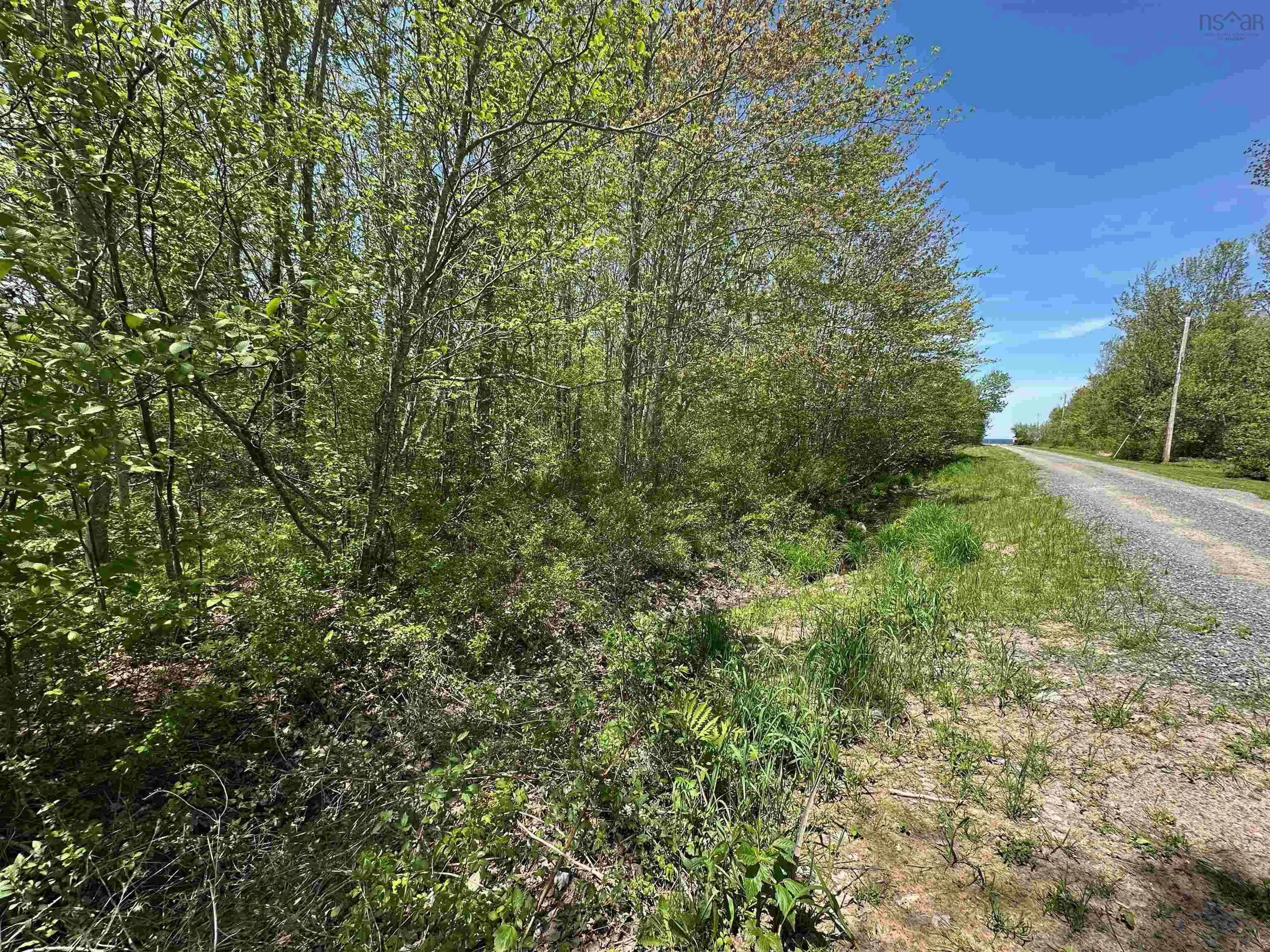 Lot Golden Sands Drive, Malagash, NS B0K 1E0, ,Land,For Sale,Golden Sands,202512825