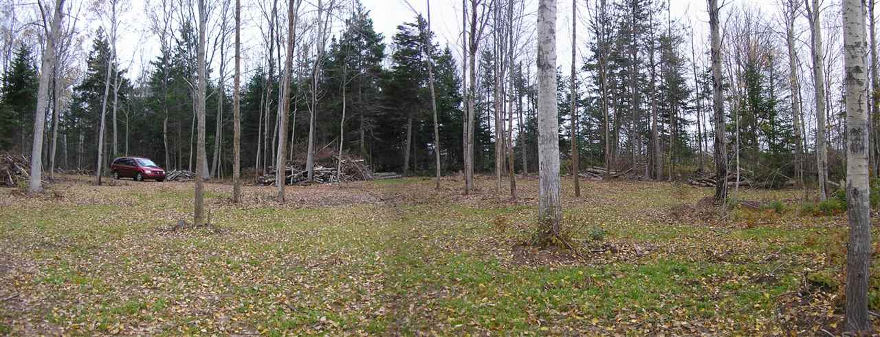 Malagash Road Lot 4, Malagash NS B0K 1E0, ,Land,For Sale,Malagash,201913651