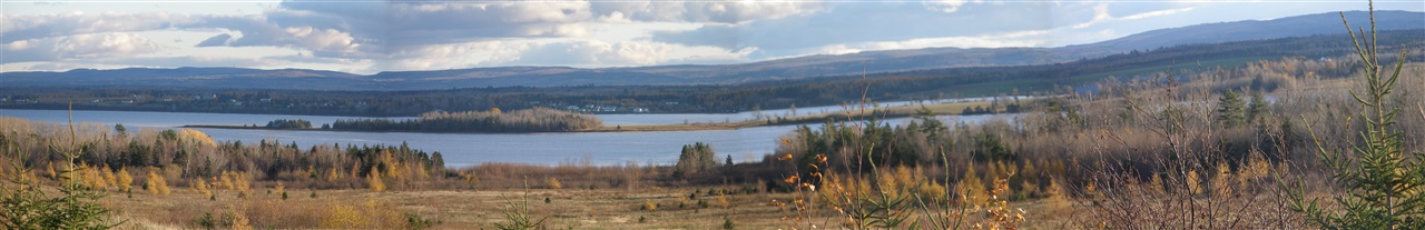 Malagash Road Lot 4, Malagash NS B0K 1E0, ,Land,For Sale,Malagash,201913651