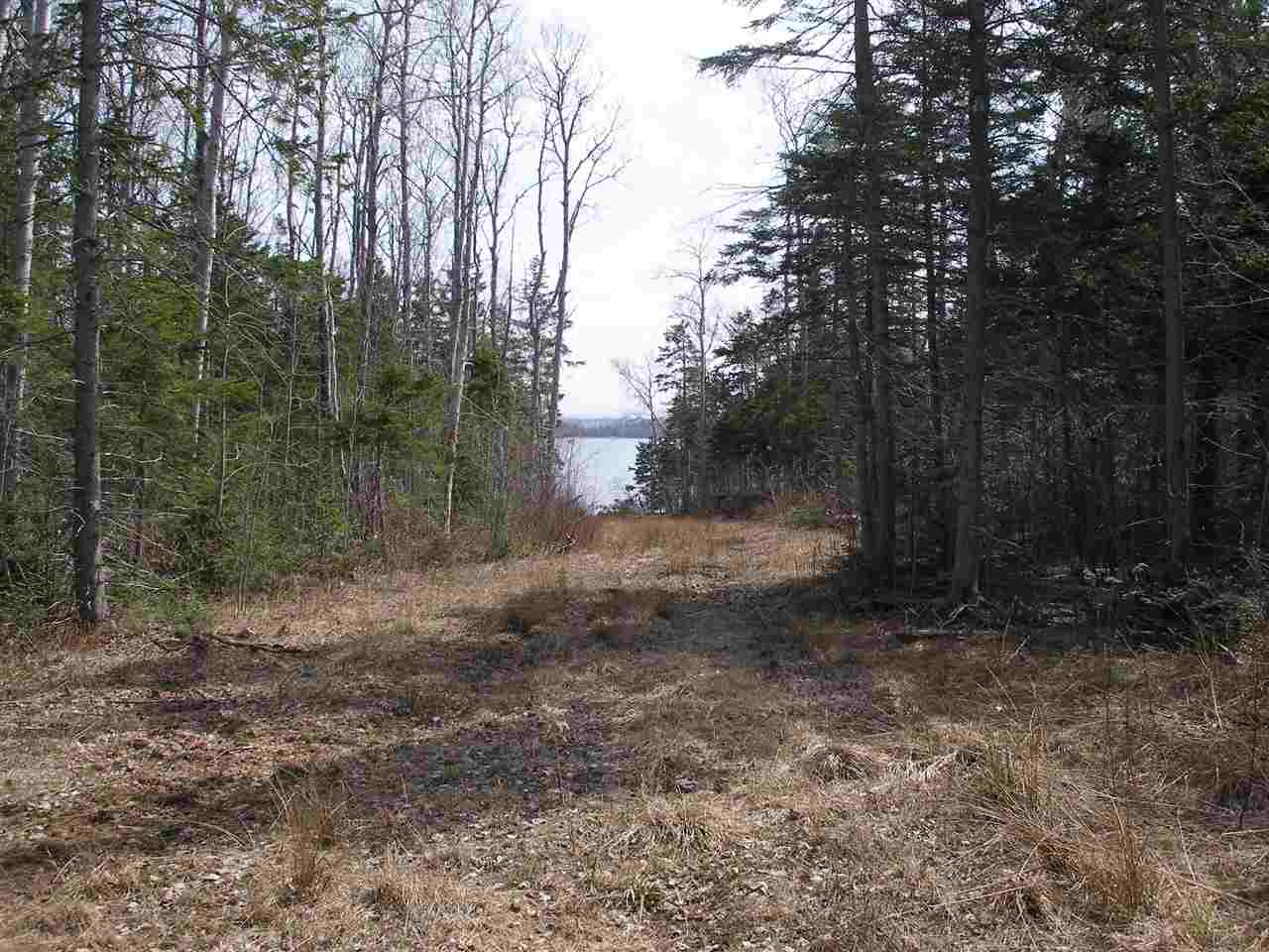 Malagash Road Lot 4, Malagash NS B0K 1E0, ,Land,For Sale,Malagash,201913651