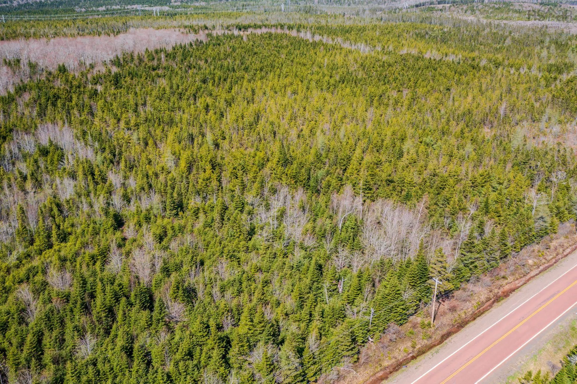 Lot Pictou Rd, Kemptown, NS B6L 2N9, ,Land,For Sale,Lot Pictou Rd,202511205