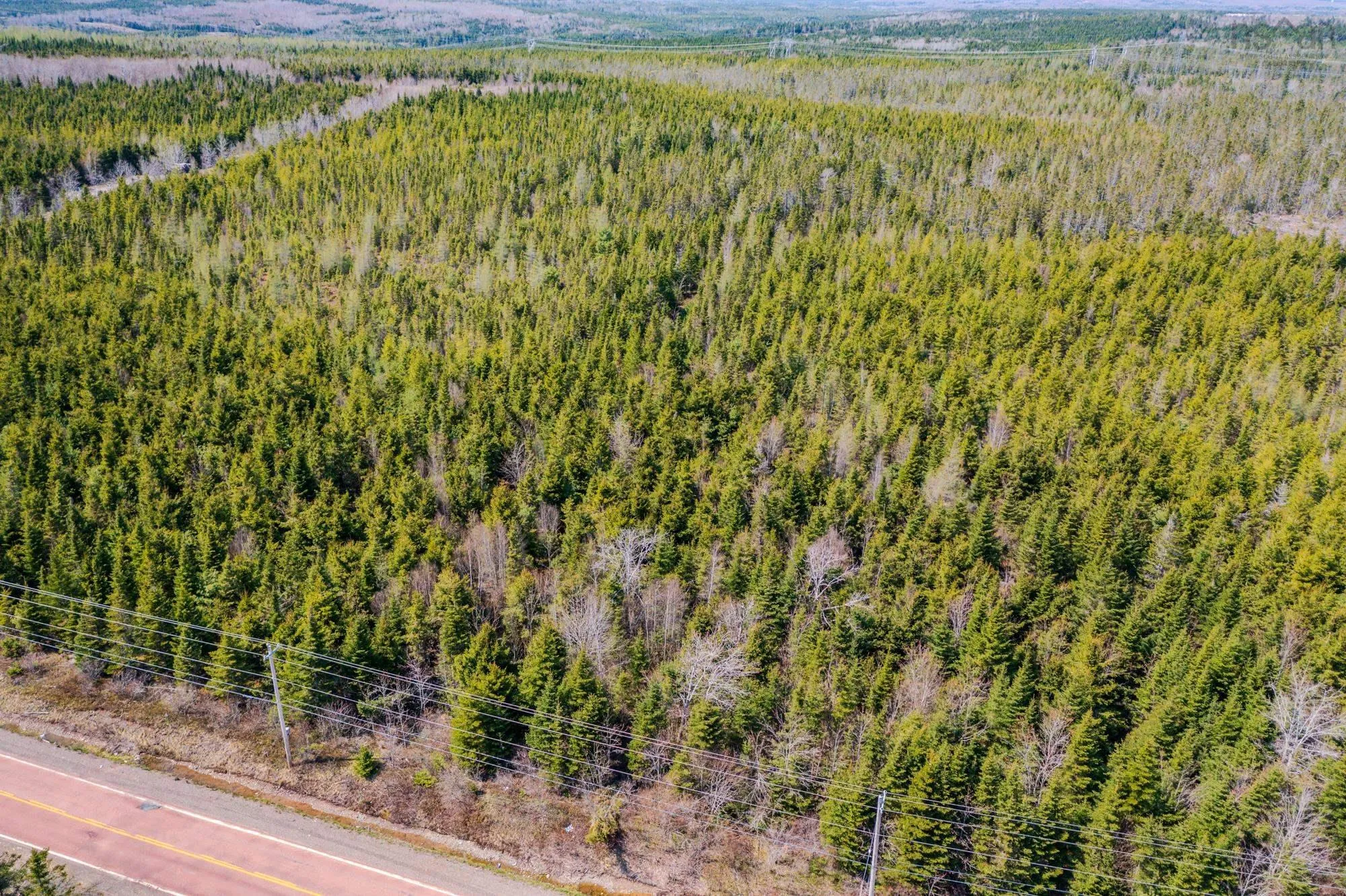 Lot Pictou Rd, Kemptown, NS B6L 2N9, ,Land,For Sale,Lot Pictou Rd,202511205