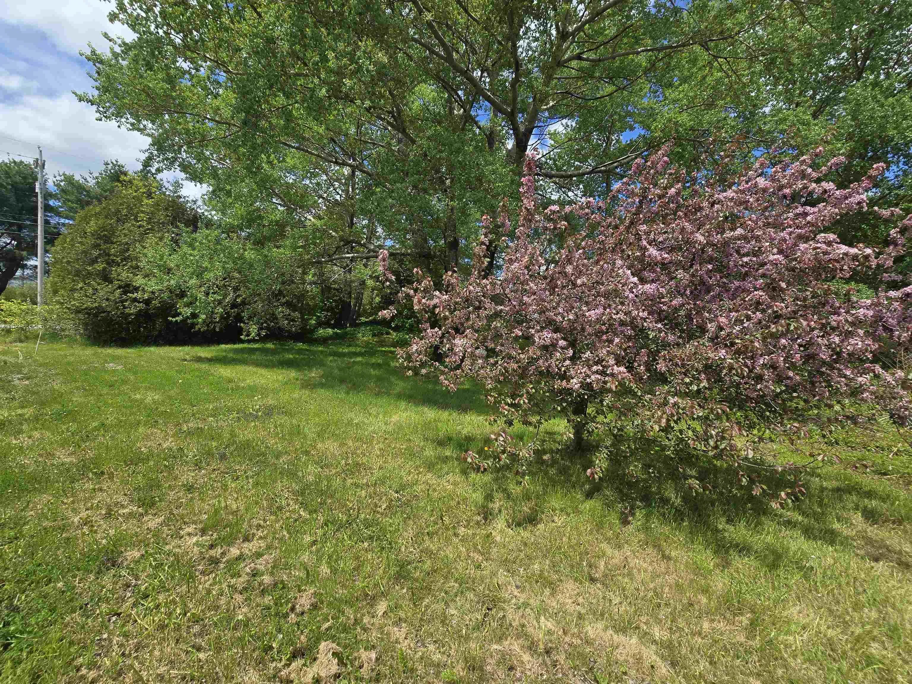 40 Broad St, Guysborough, NS B0H 1N0, ,Land,For Sale,Broad St,202513448