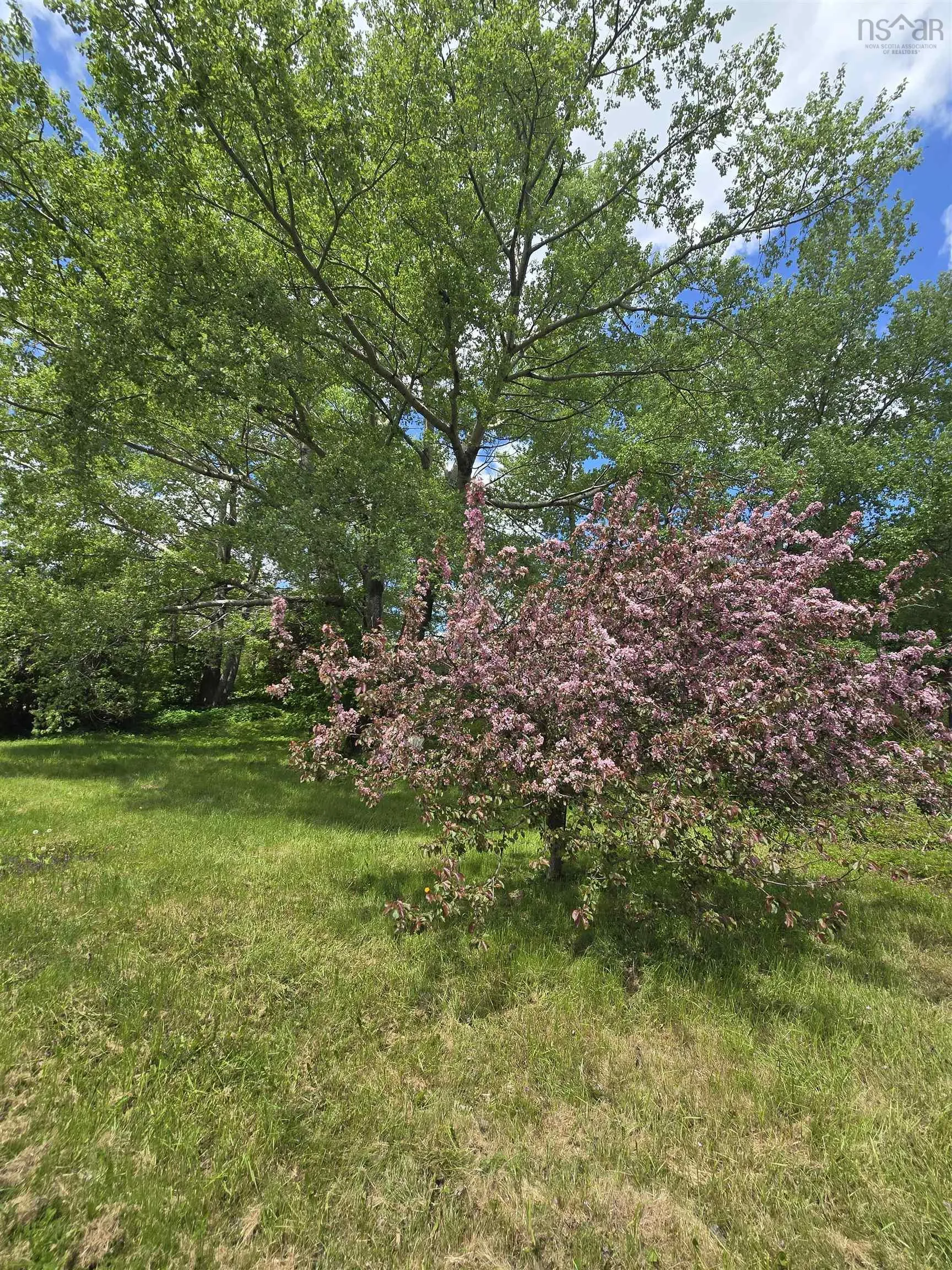 40 Broad St, Guysborough, NS B0H 1N0, ,Land,For Sale,Broad St,202513448