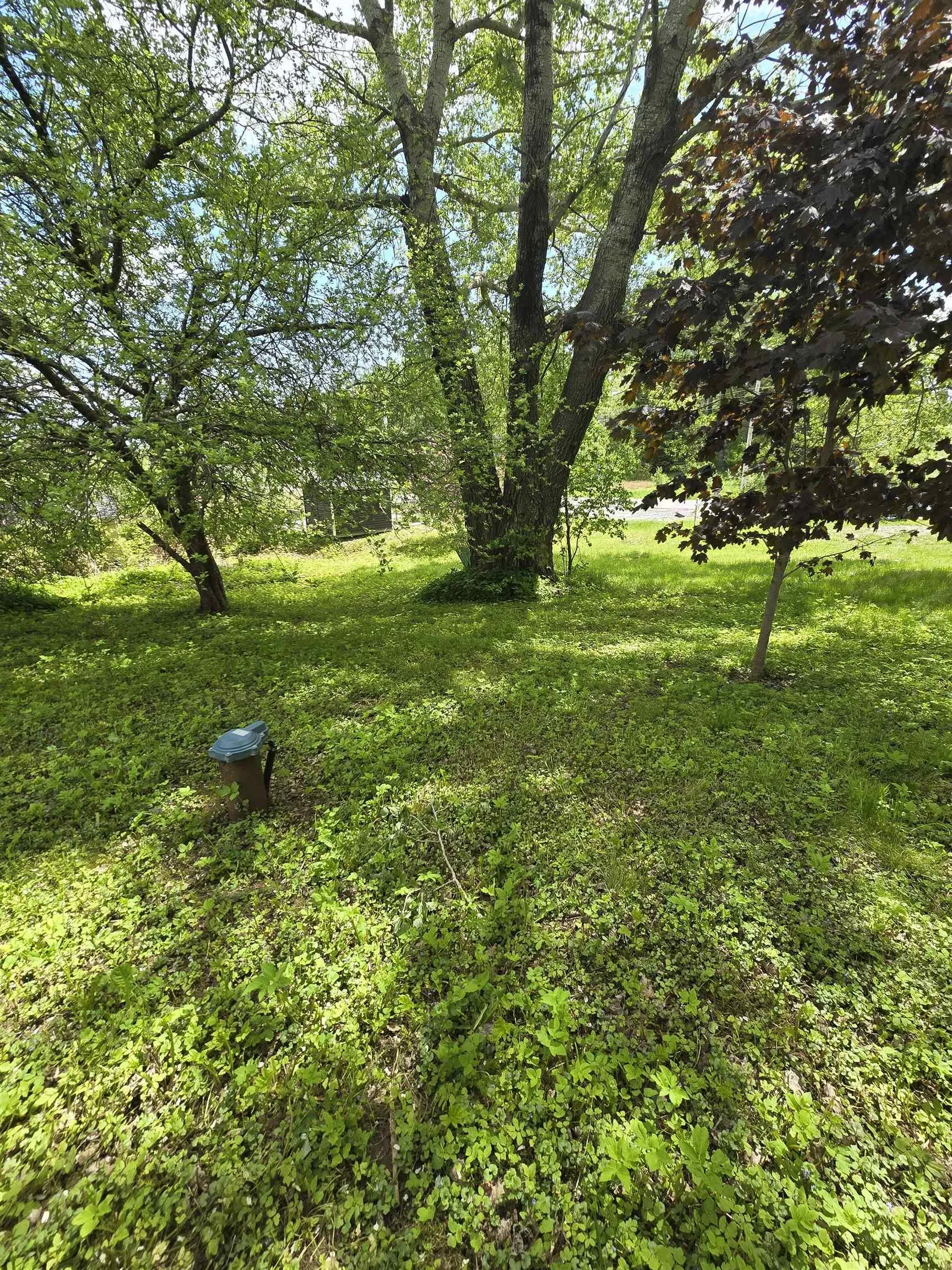 40 Broad St, Guysborough, NS B0H 1N0, ,Land,For Sale,Broad St,202513448