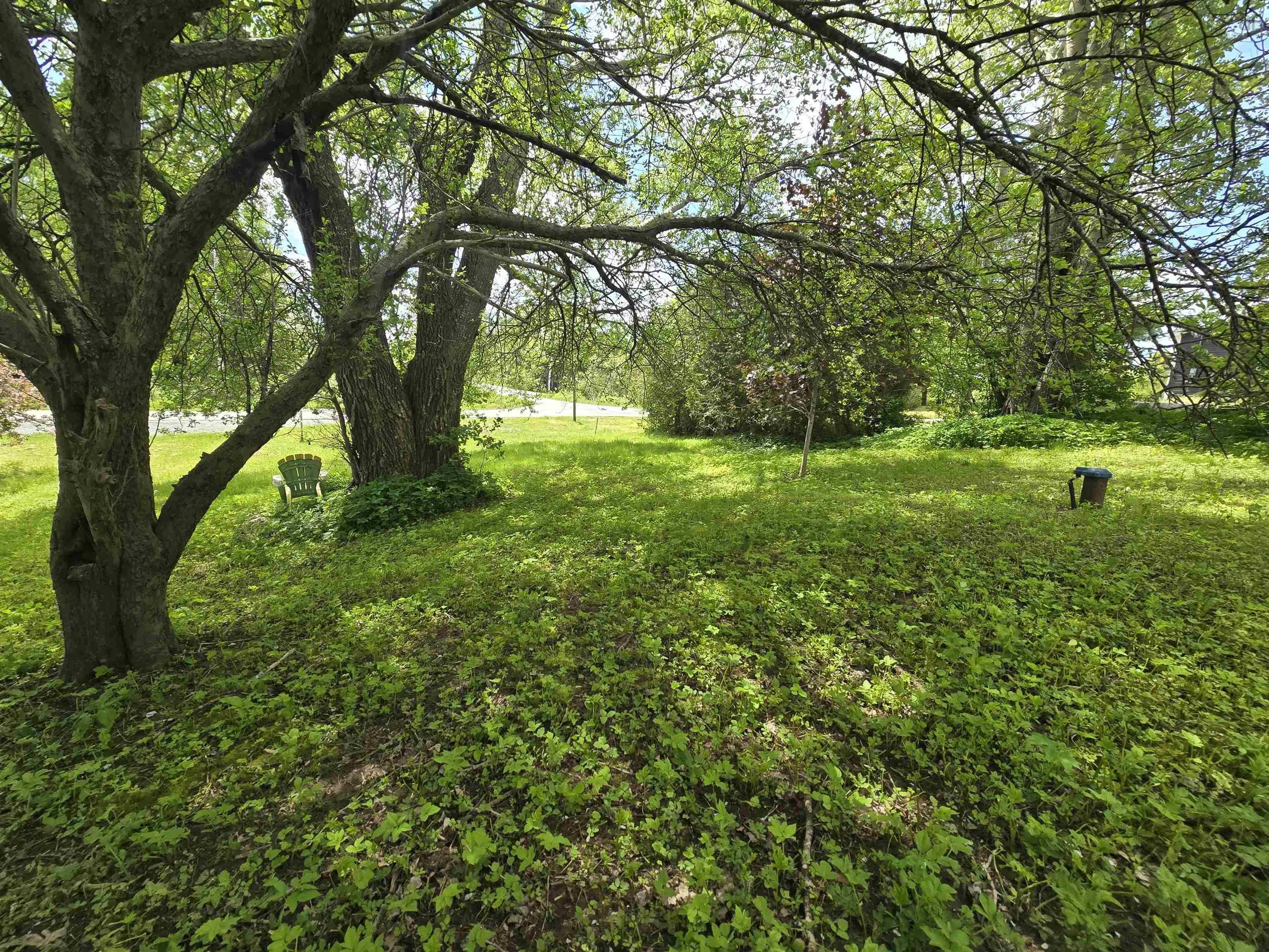 40 Broad St, Guysborough, NS B0H 1N0, ,Land,For Sale,Broad St,202513448