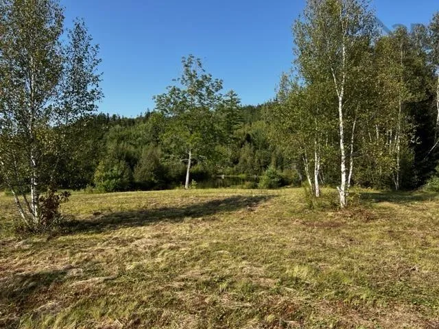 13 Acres Park Falls Road, Sutherlands River Ns B0k 1w0, ,Land,For Sale,Park Falls,202421804
