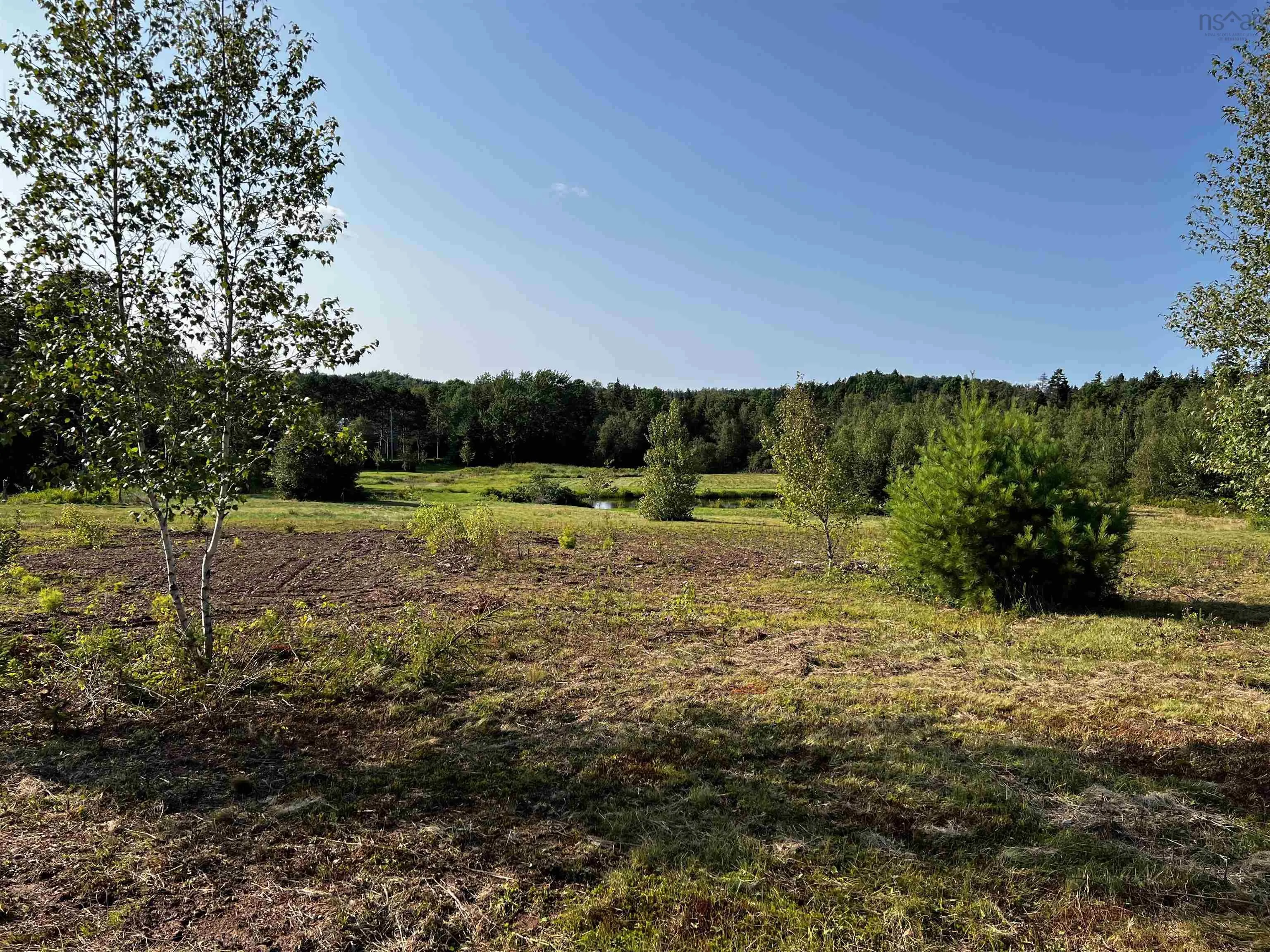 13 Acres Park Falls Road, Sutherlands River Ns B0k 1w0, ,Land,For Sale,Park Falls,202421804