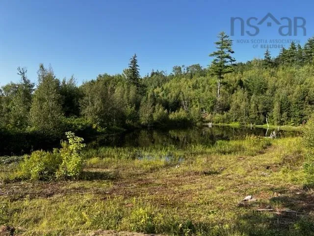 13 Acres Park Falls Road, Sutherlands River Ns B0k 1w0, ,Land,For Sale,Park Falls,202421804