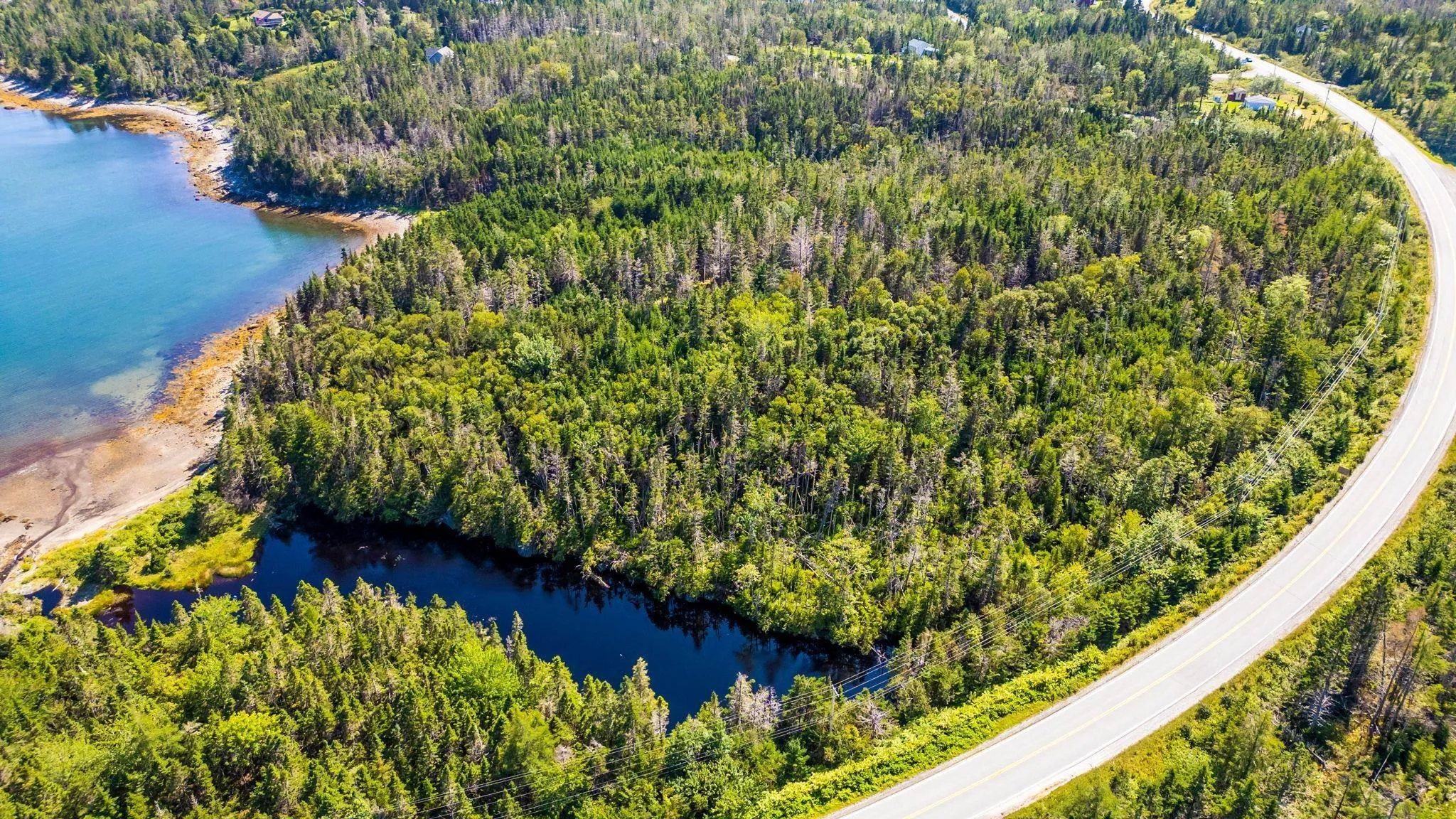 No 7 Highway, Murphy Cove Ns B0j 3h0, ,Land,For Sale,No 7 Highway,202423003