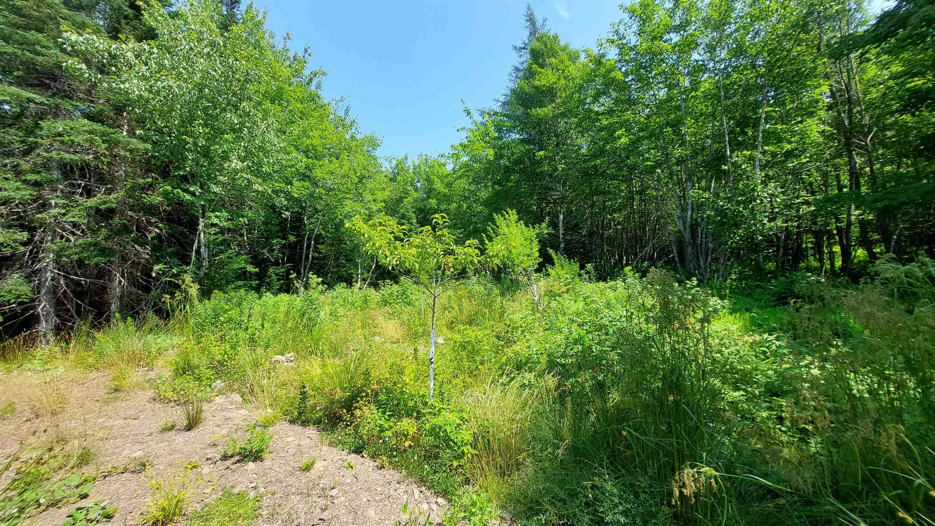 75 Evanston Rd, Cleveland, NS B0E 1J0, ,Land,For Sale,Evanston Rd,202518843