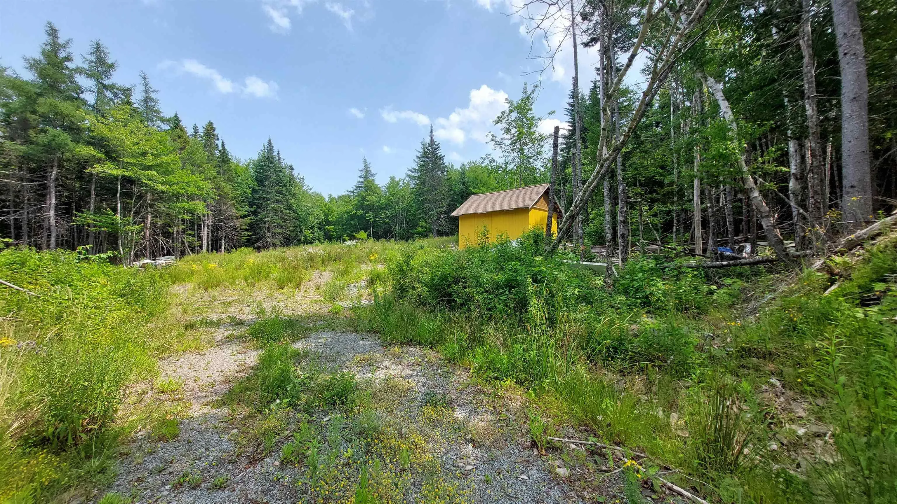 75 Evanston Rd, Cleveland, NS B0E 1J0, ,Land,For Sale,Evanston Rd,202518843