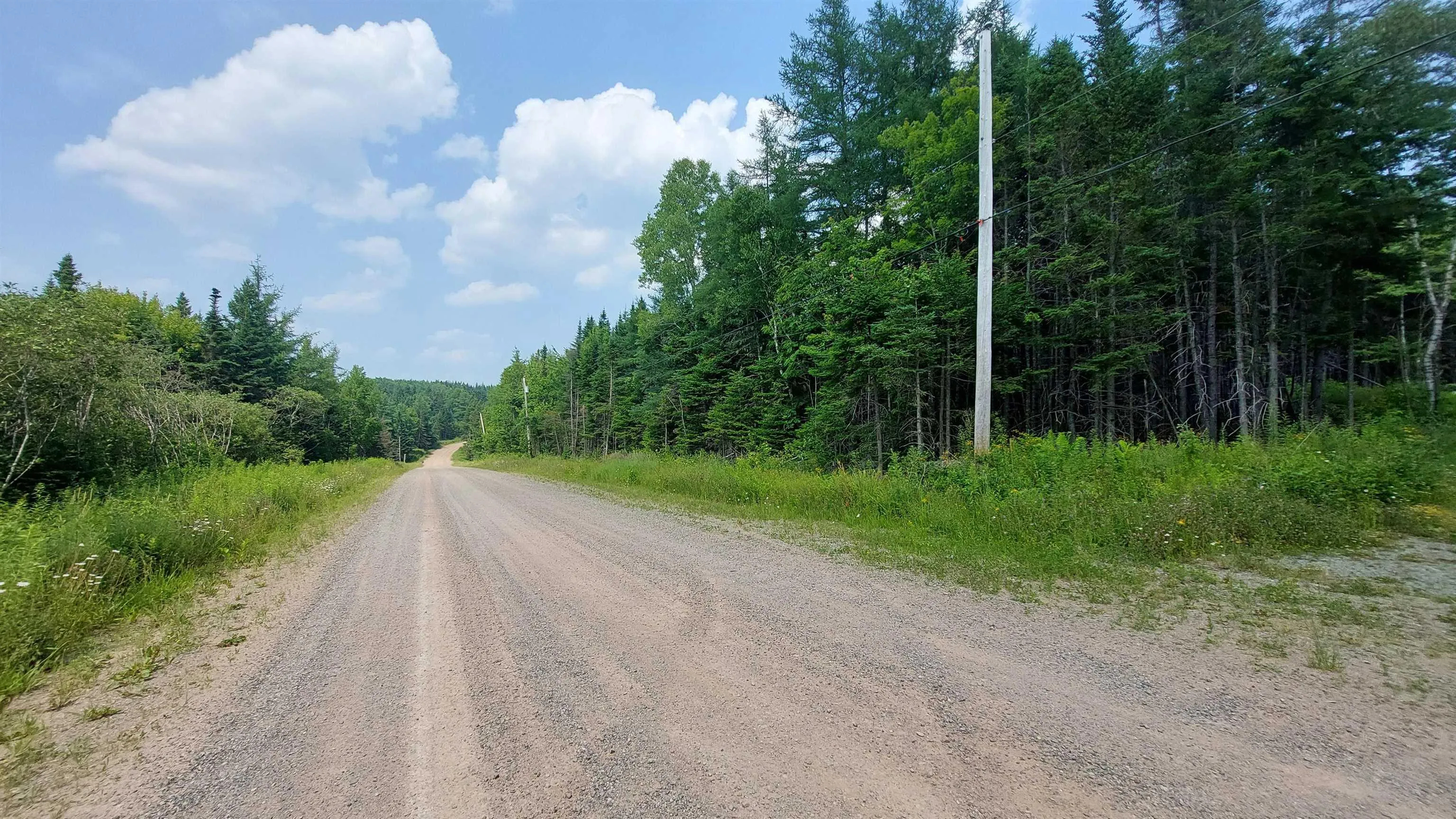 75 Evanston Rd, Cleveland, NS B0E 1J0, ,Land,For Sale,Evanston Rd,202518843