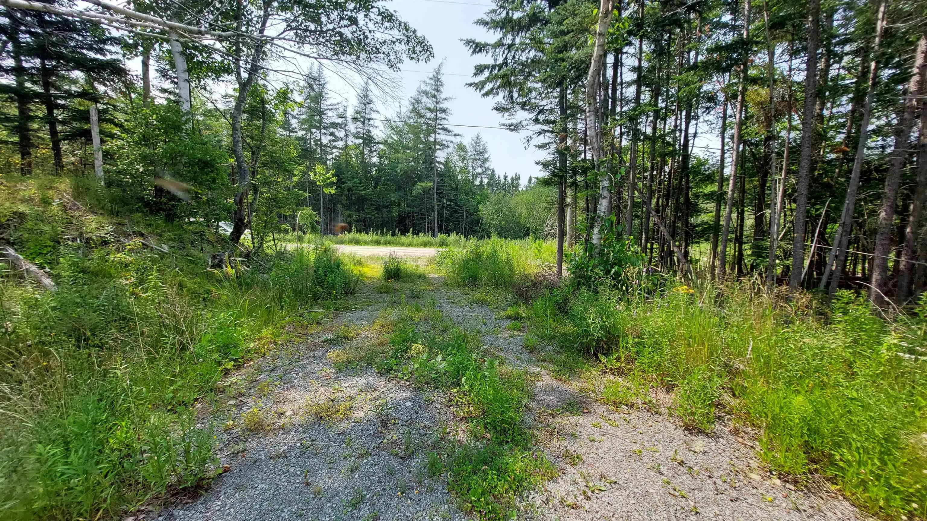 75 Evanston Rd, Cleveland, NS B0E 1J0, ,Land,For Sale,Evanston Rd,202518843