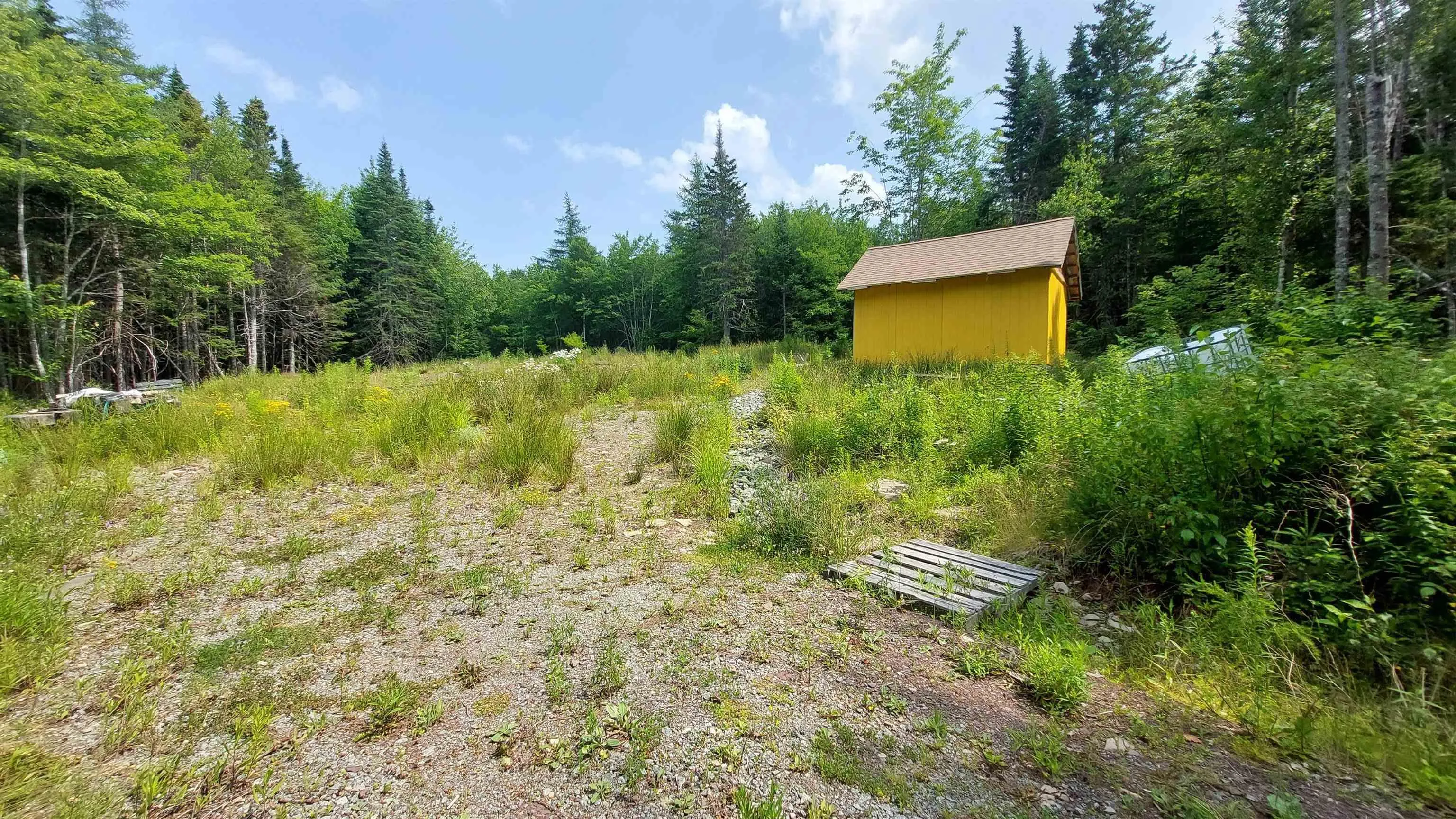 75 Evanston Rd, Cleveland, NS B0E 1J0, ,Land,For Sale,Evanston Rd,202518843