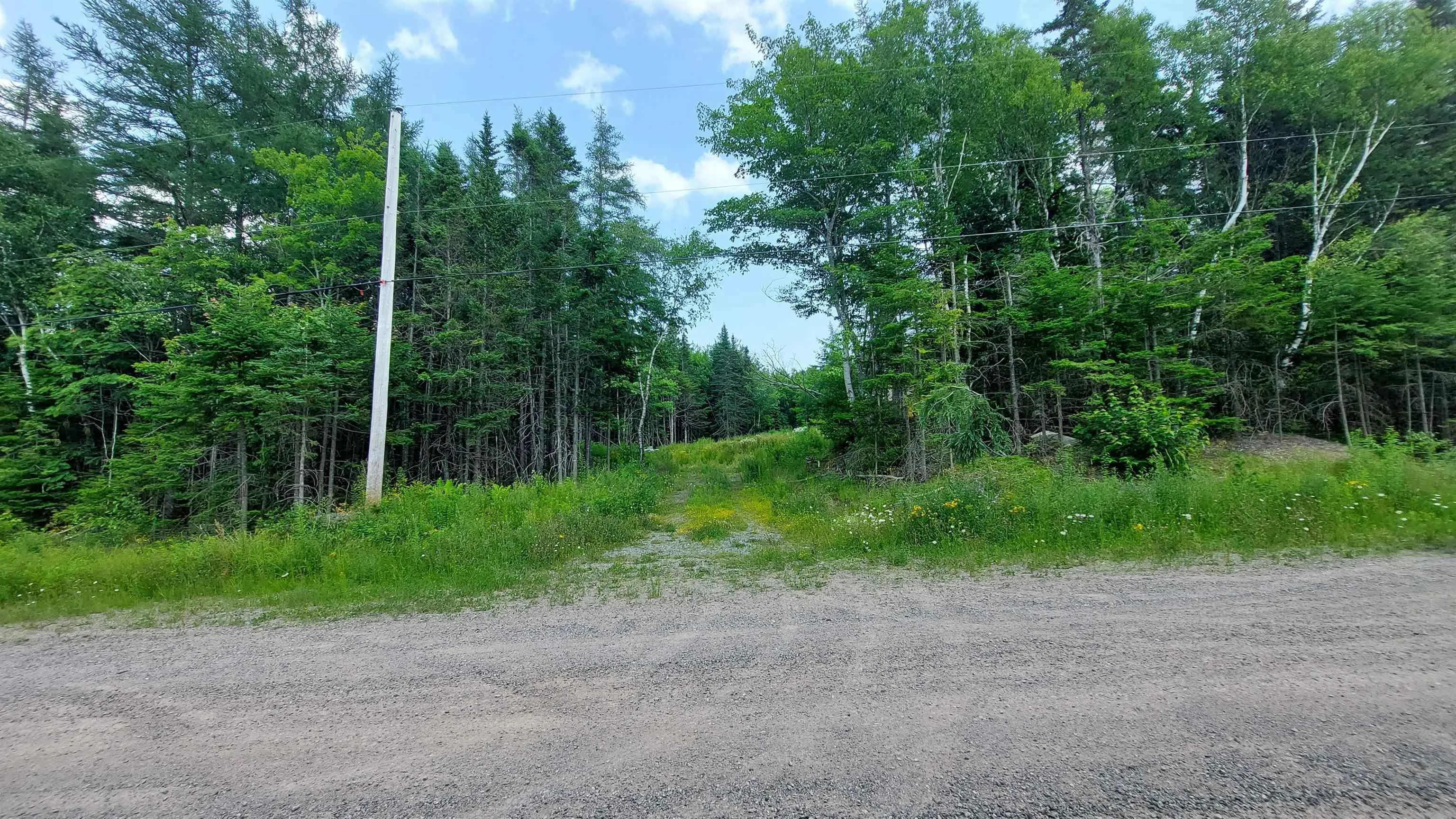 75 Evanston Rd, Cleveland, NS B0E 1J0, ,Land,For Sale,Evanston Rd,202518843