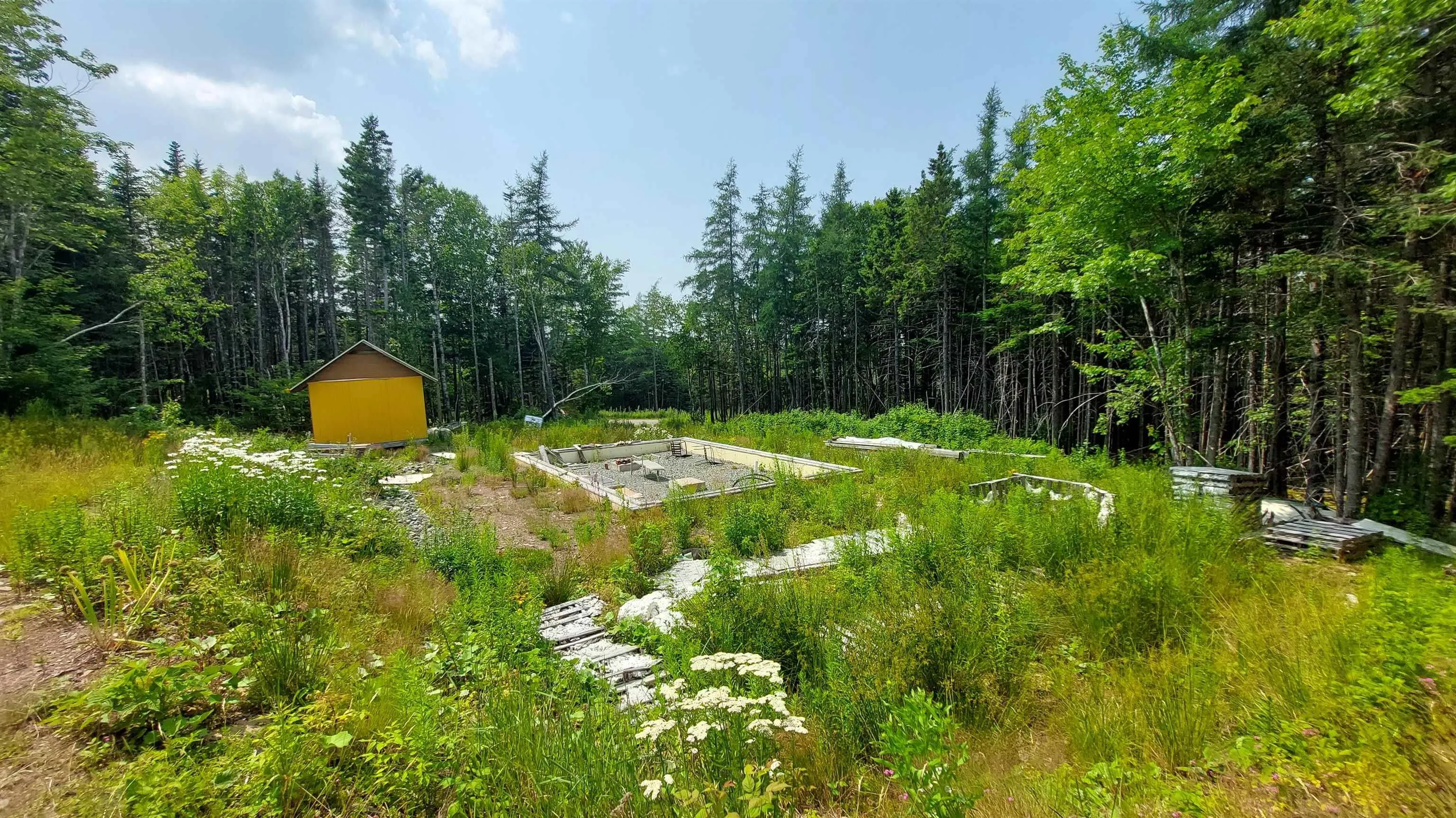 75 Evanston Rd, Cleveland, NS B0E 1J0, ,Land,For Sale,Evanston Rd,202518843