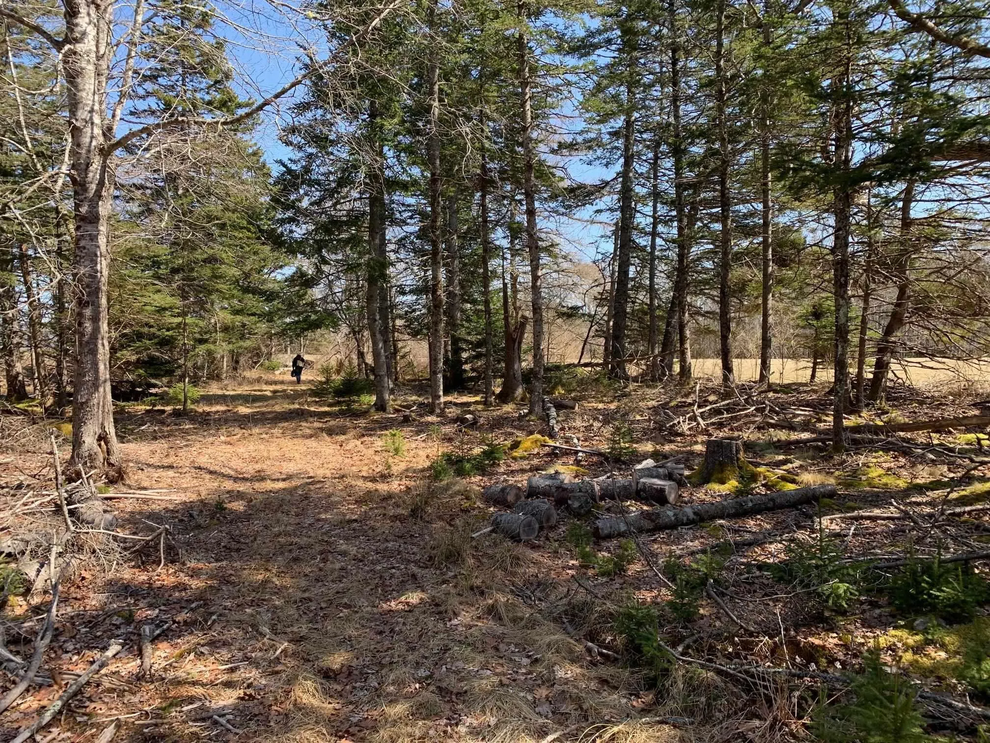 236 Princes Inlet Drive, Martins Brook, NS B0J 2C0, 3 Bedrooms Bedrooms, ,3 BathroomsBathrooms,Residential,For Sale,Princes Inlet,202522214