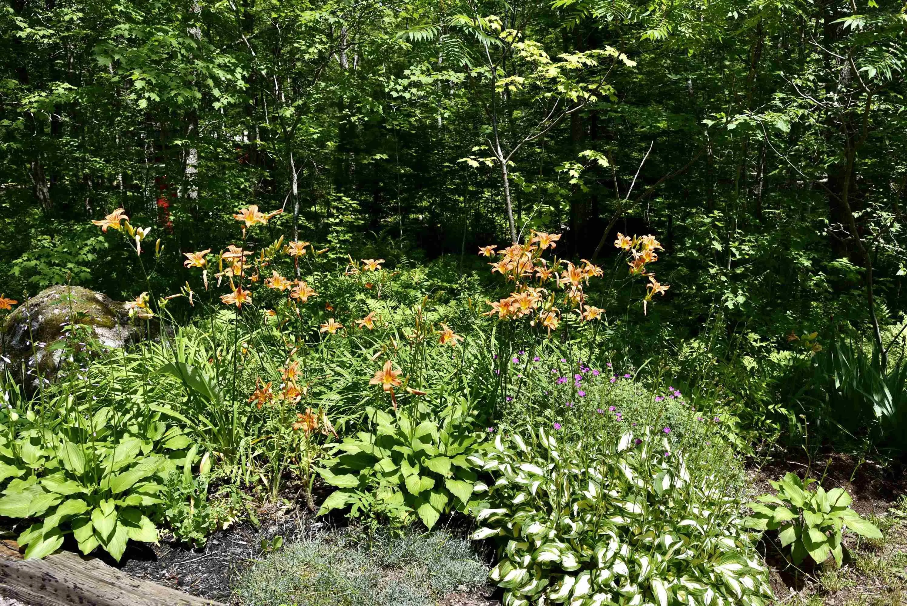 1401 Tree Line Drive, New Albany, NS B0S 1P0, 2 Bedrooms Bedrooms, ,1 BathroomBathrooms,Residential,For Sale,Tree Line,202517918