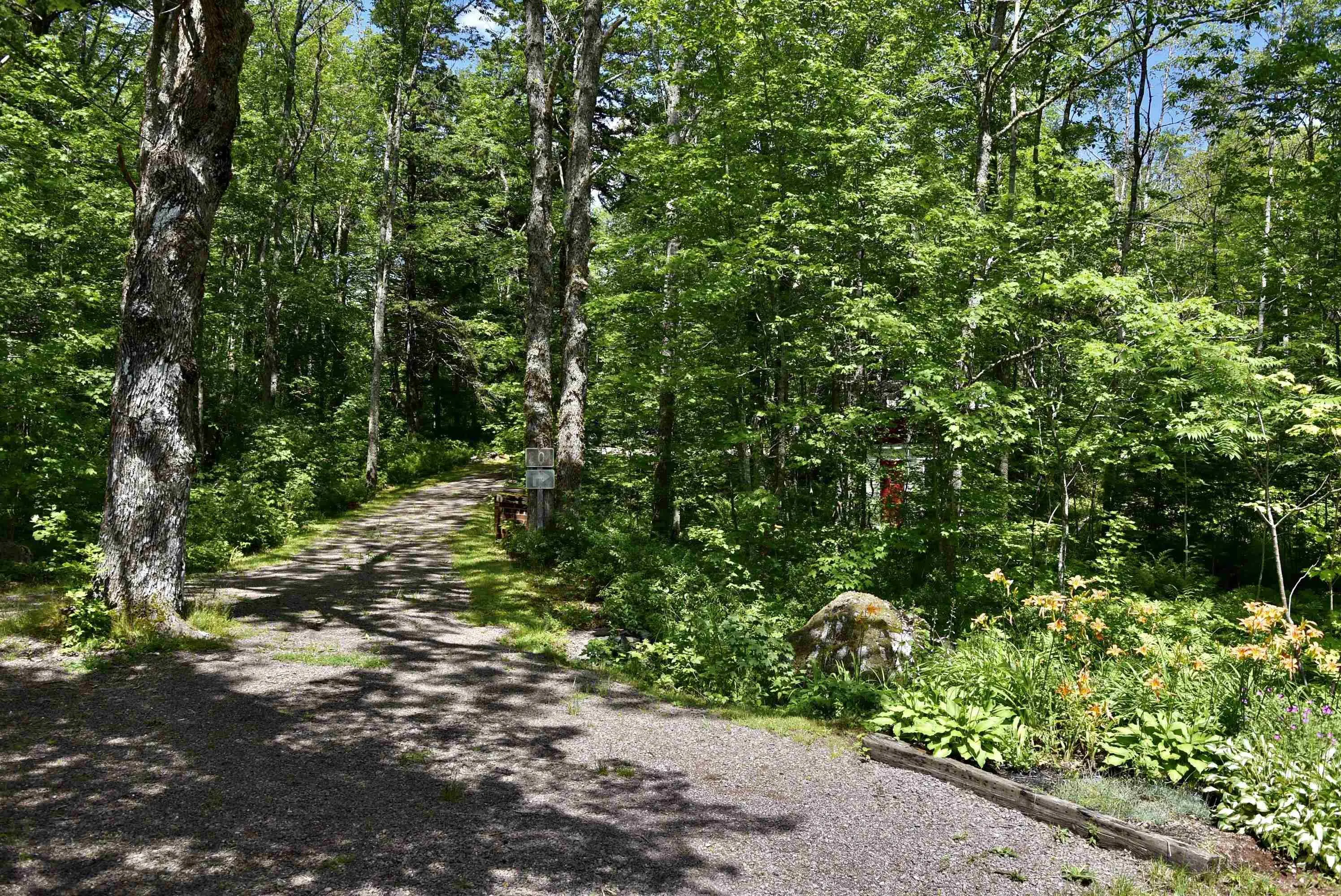 1401 Tree Line Drive, New Albany, NS B0S 1P0, 2 Bedrooms Bedrooms, ,1 BathroomBathrooms,Residential,For Sale,Tree Line,202517918