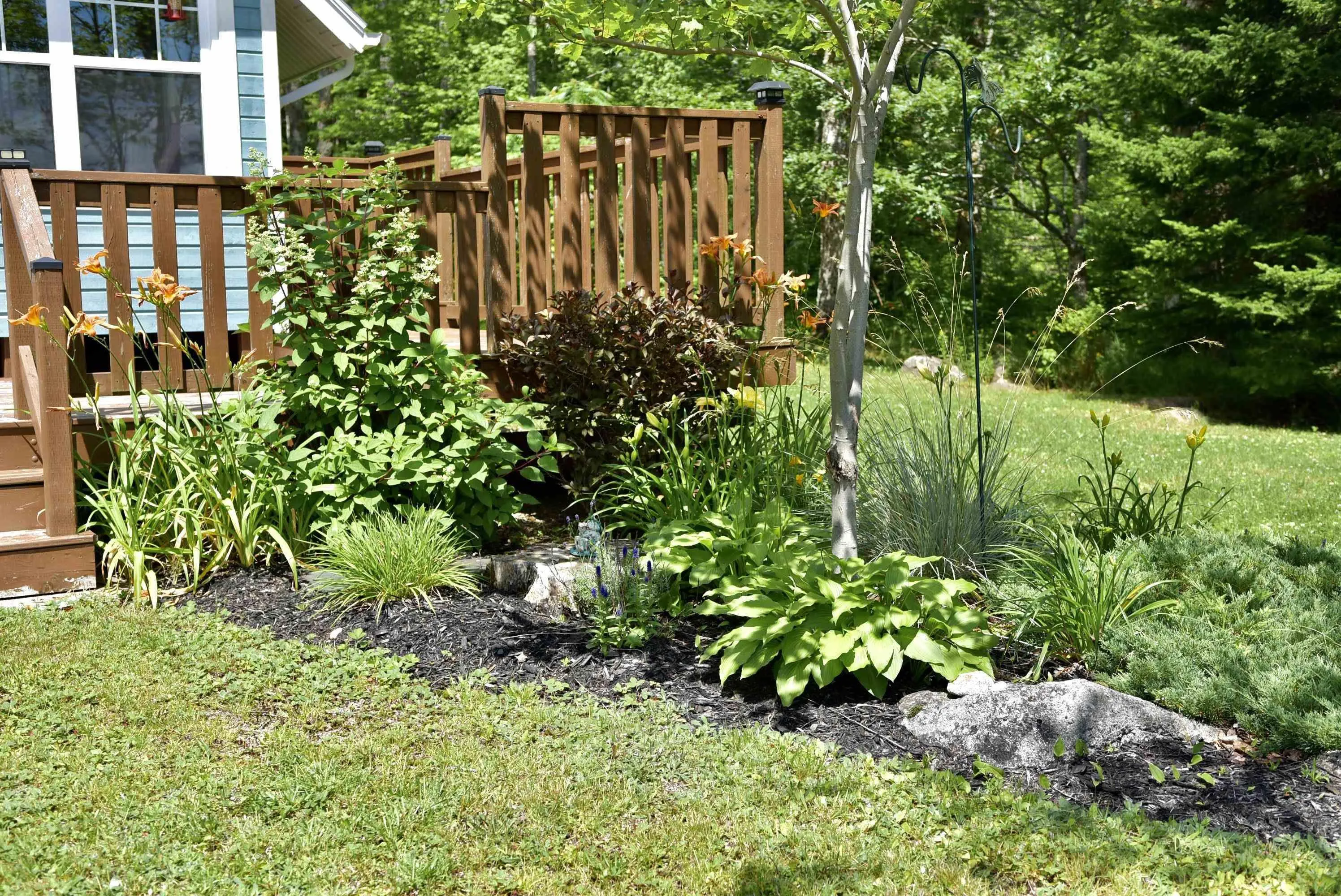 1401 Tree Line Drive, New Albany, NS B0S 1P0, 2 Bedrooms Bedrooms, ,1 BathroomBathrooms,Residential,For Sale,Tree Line,202517918