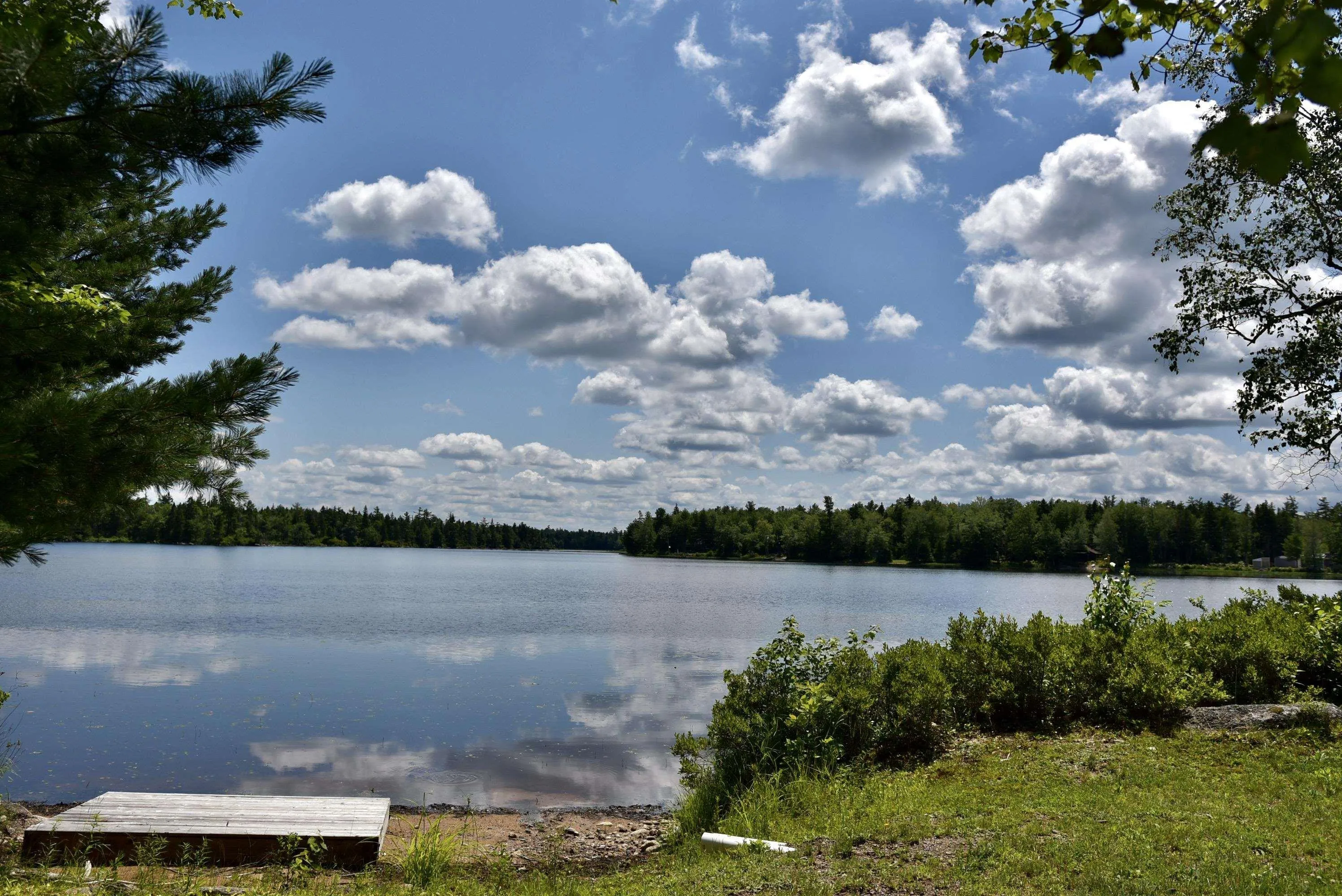 1401 Tree Line Drive, New Albany, NS B0S 1P0, 2 Bedrooms Bedrooms, ,1 BathroomBathrooms,Residential,For Sale,Tree Line,202517918