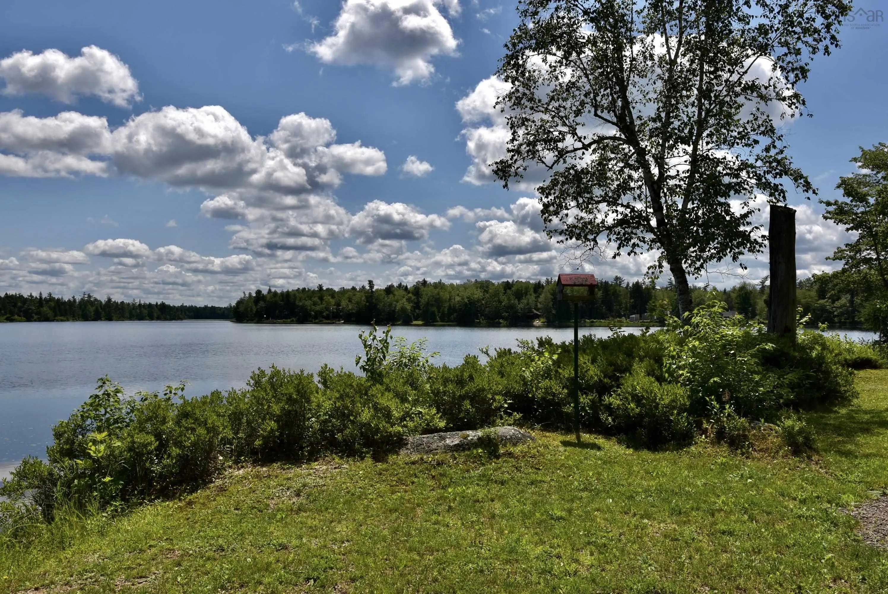 1401 Tree Line Drive, New Albany, NS B0S 1P0, 2 Bedrooms Bedrooms, ,1 BathroomBathrooms,Residential,For Sale,Tree Line,202517918