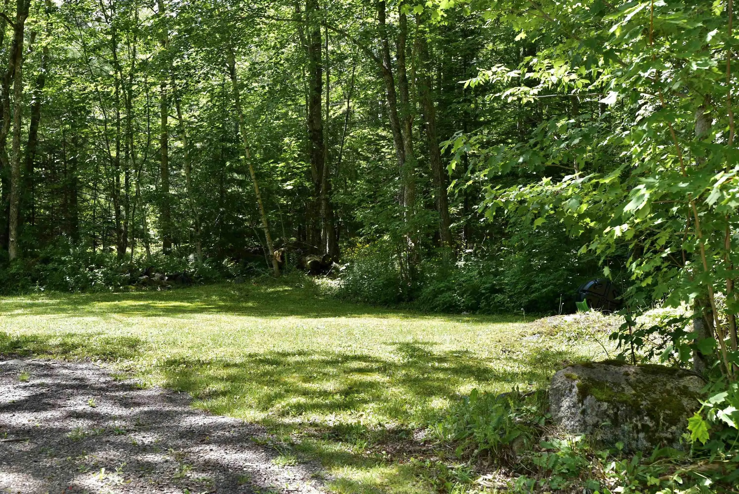 1401 Tree Line Drive, New Albany, NS B0S 1P0, 2 Bedrooms Bedrooms, ,1 BathroomBathrooms,Residential,For Sale,Tree Line,202517918