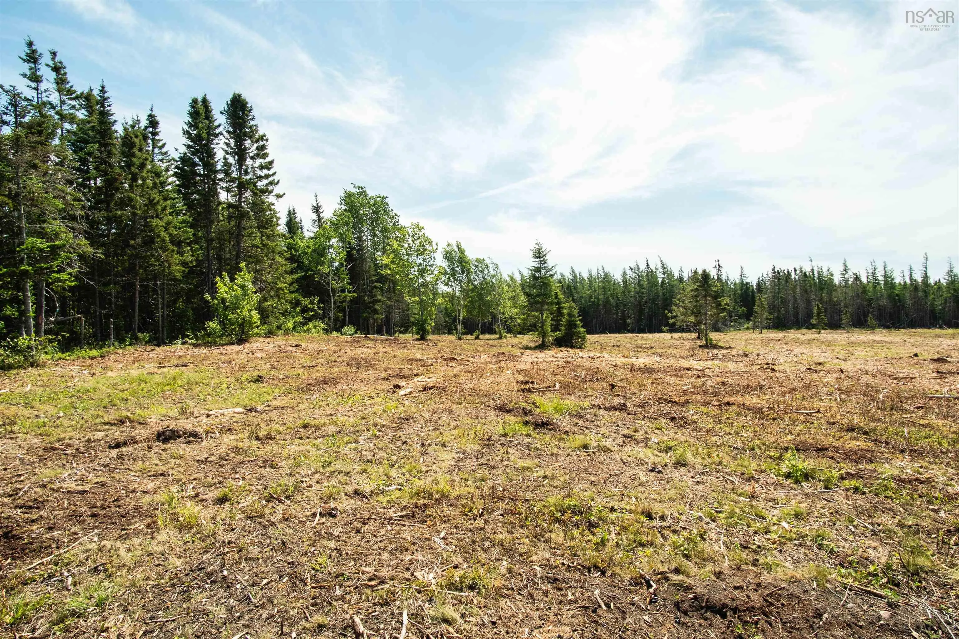 Alpine Ridge Road Lot 6, Mabou Ns B0e 1x0, ,Land,For Sale,Alpine Ridge,202506918