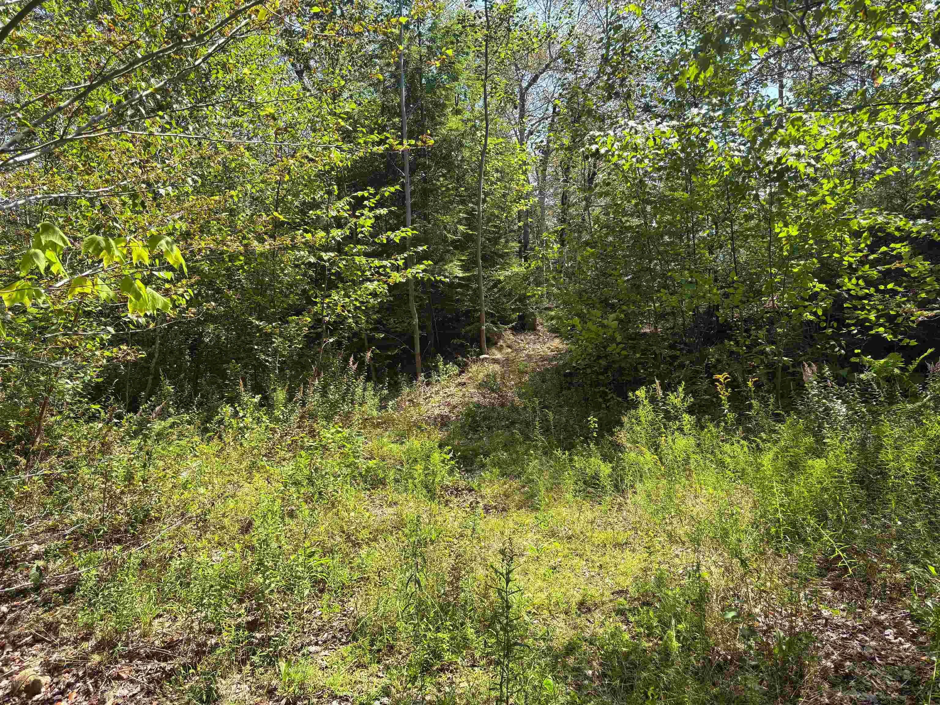 Crouse Settlement Road Lot 6, Italy Cross, NS B4V 0P5, ,Land,For Sale,Crouse Settlement,202519692