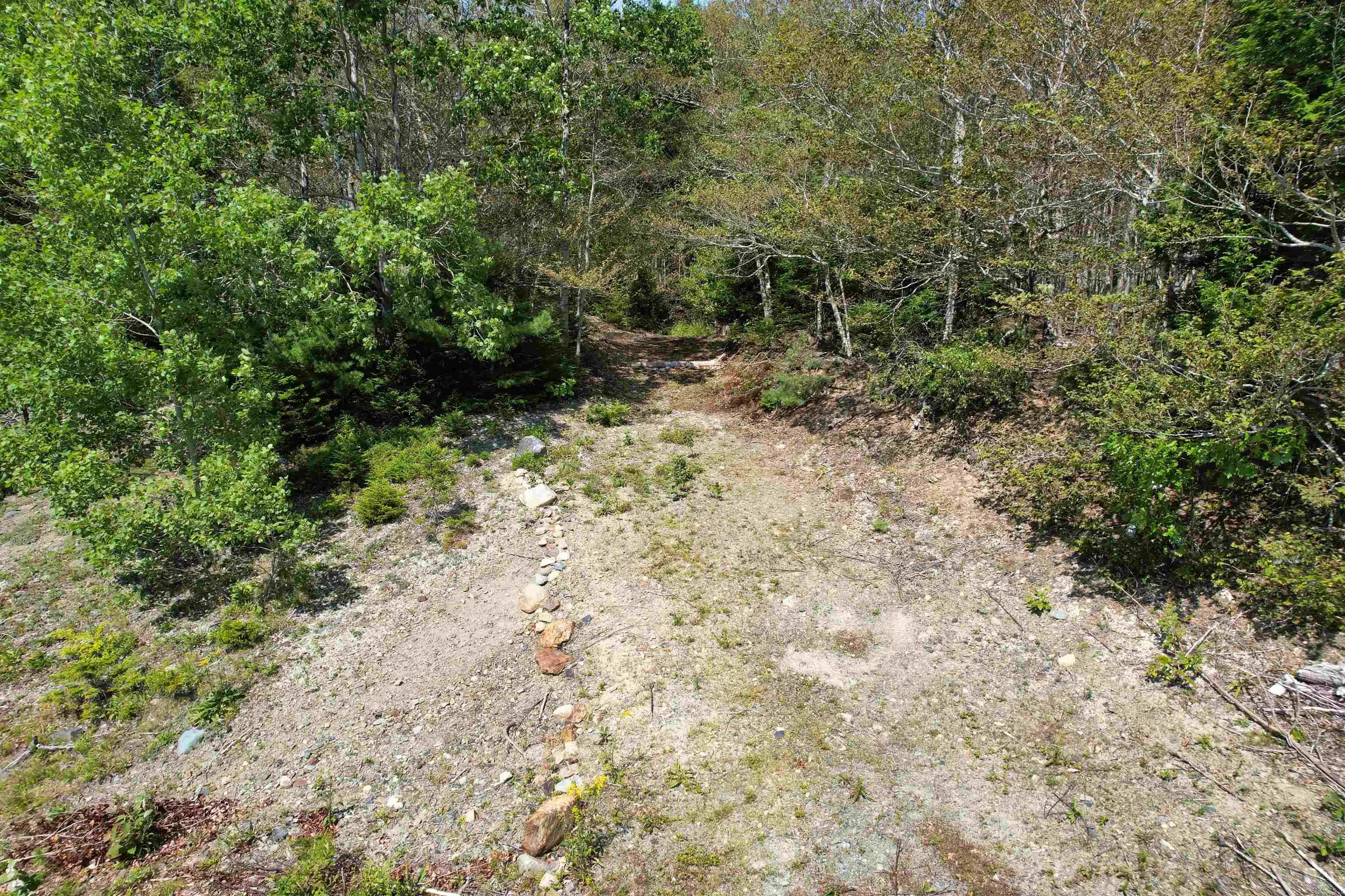 Crouse Settlement Road Lot 6, Italy Cross, NS B4V 0P5, ,Land,For Sale,Crouse Settlement,202519692