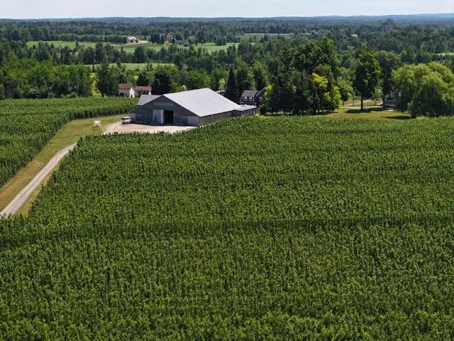 2481 Black Rock Road, Grafton Ns B0p 1v0, 5 Bedrooms Bedrooms, ,3 BathroomsBathrooms,Farm,For Sale,Black Rock,202414875